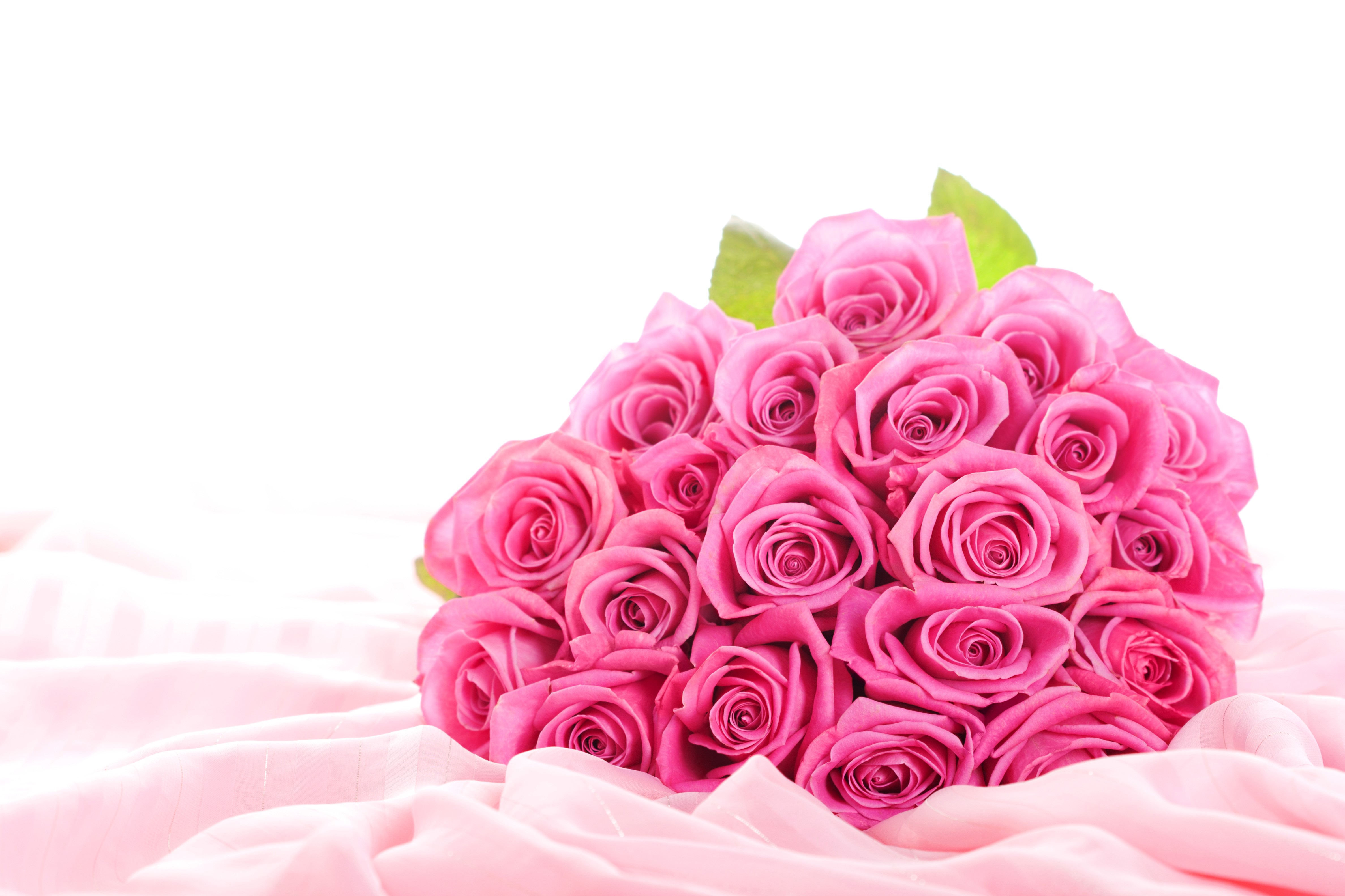 Bouquet of Pink Roses on Pink Fabric HD Wallpaper