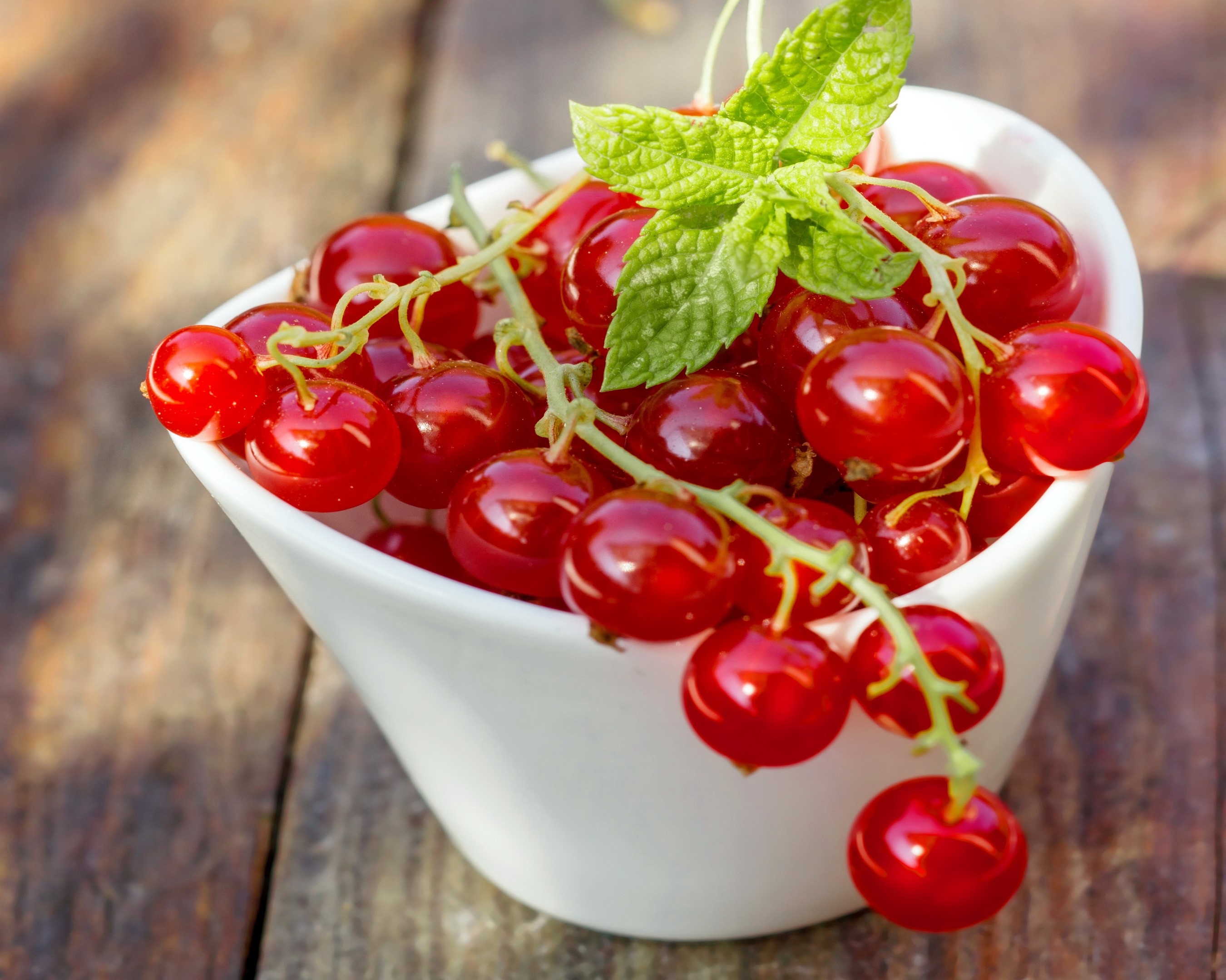 Red Currants in a White Bowl with Mint HD Wallpaper
