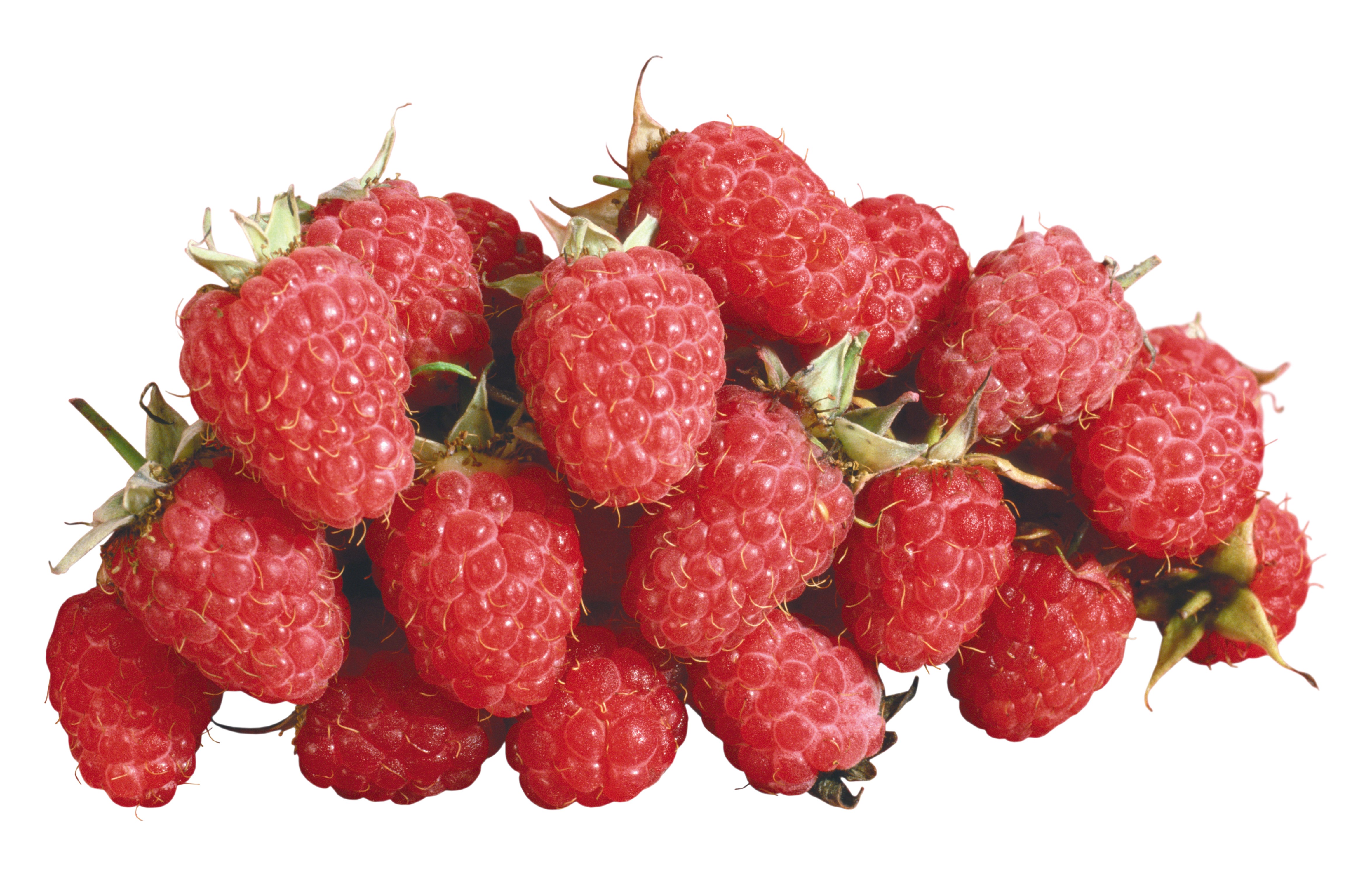 Raspberry closeup on white background HD Wallpaper