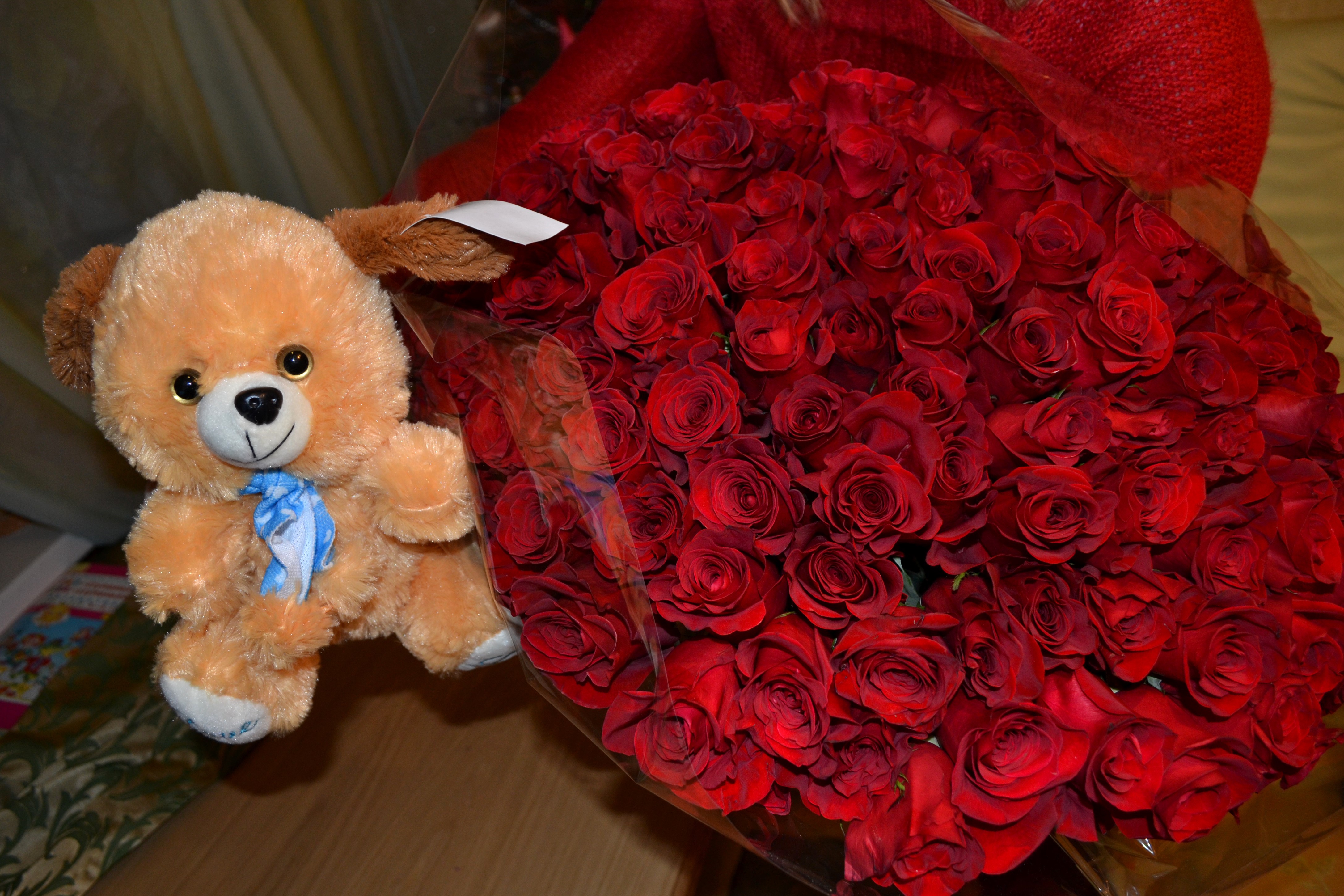 Teddy bear with a large bouquet of red roses HD Wallpaper