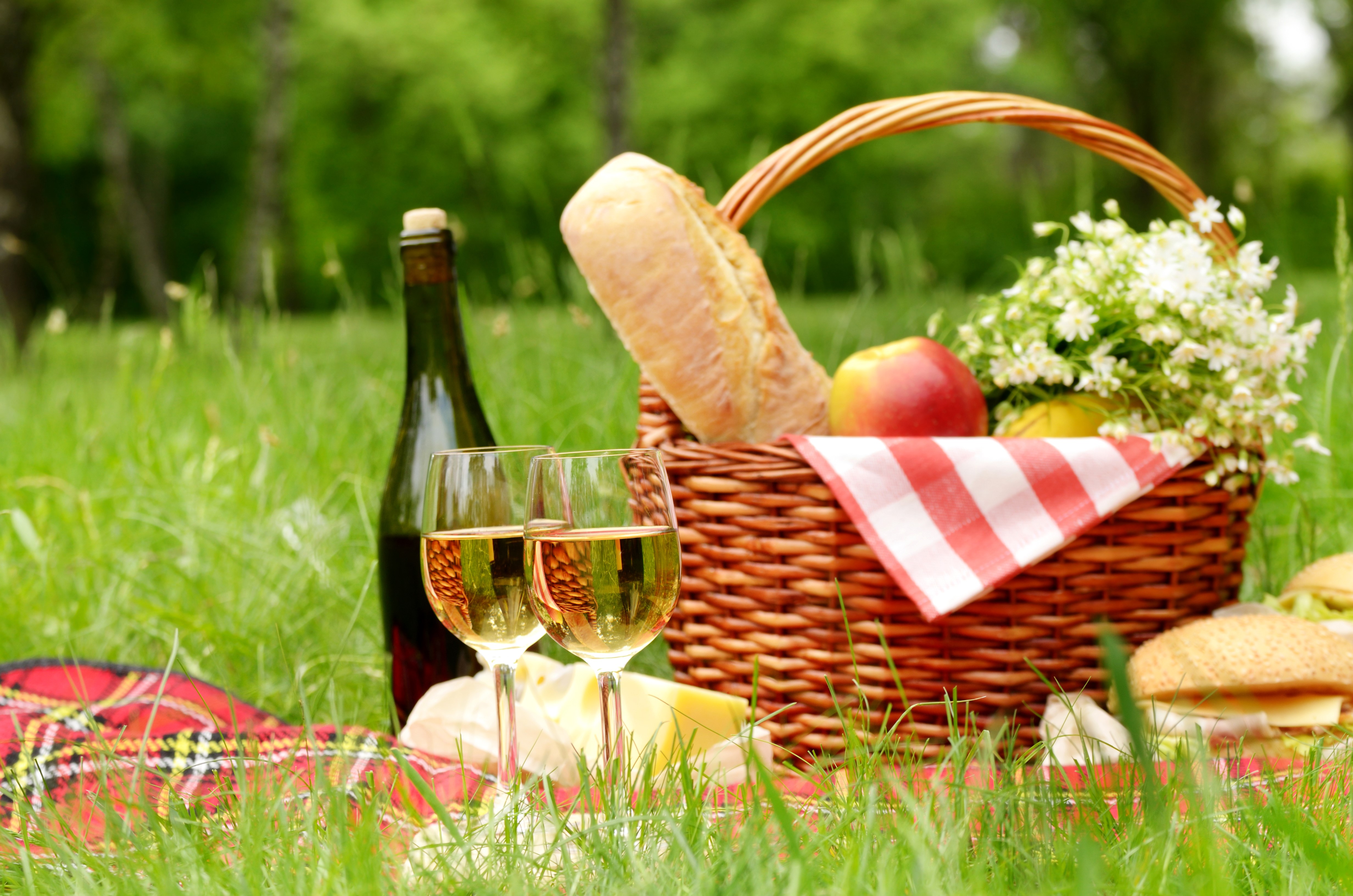 Picnic with Wine, Bread, and Cheese HD Wallpaper