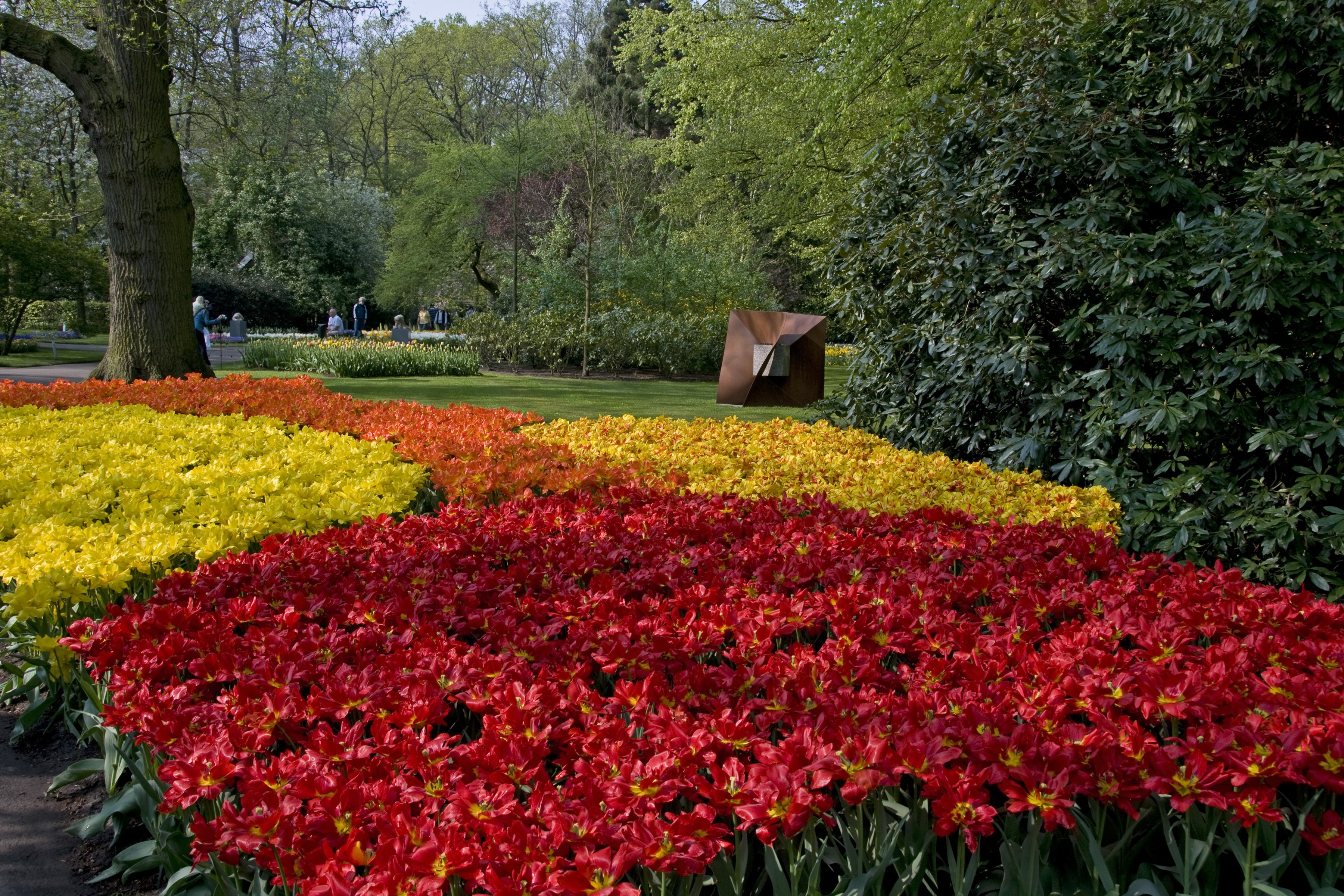 Vibrant Tulip Garden at Keukenhof Lisse Netherlands HD Wallpaper