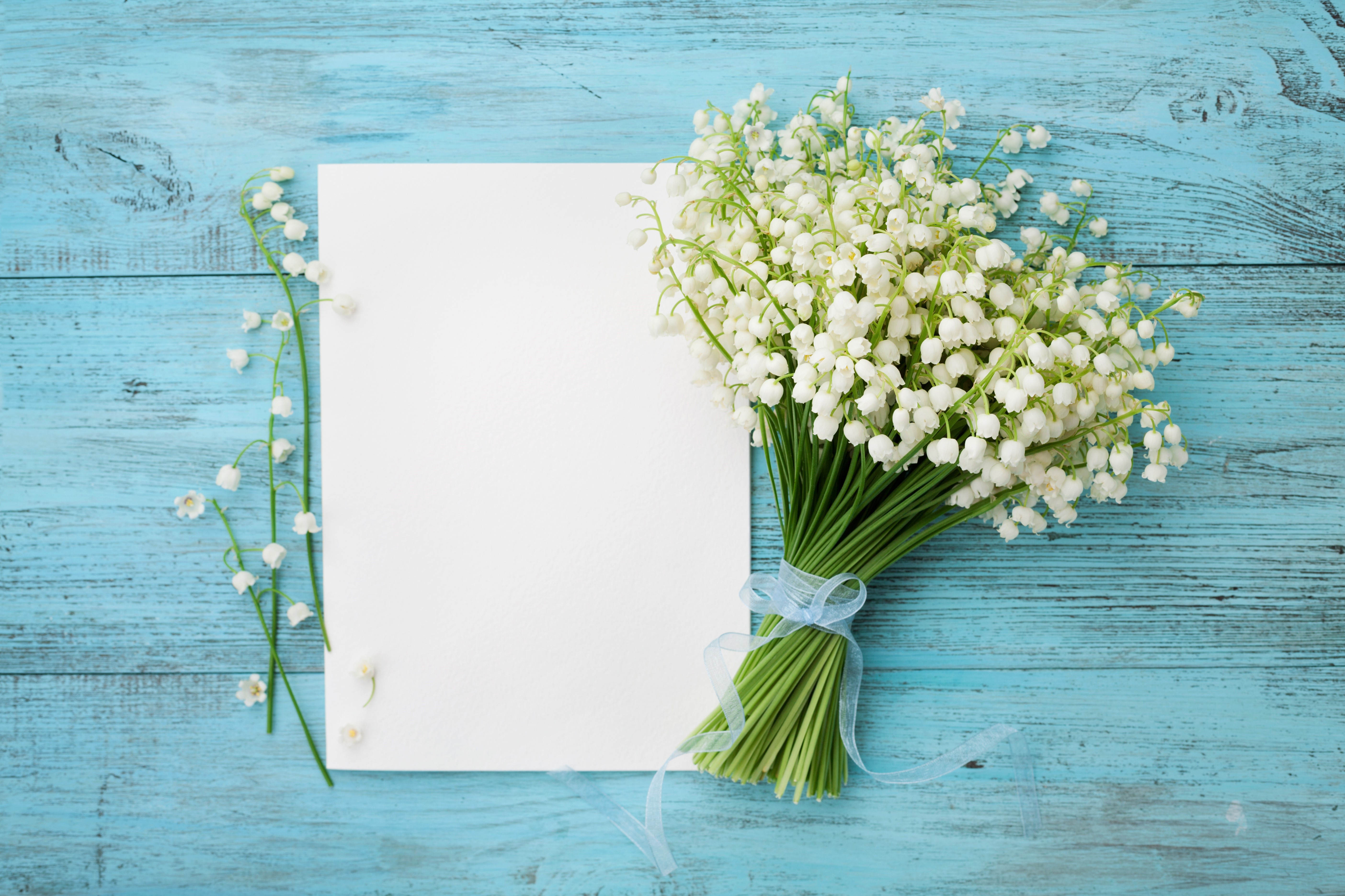 Lilies of the valley on a paper template HD Wallpaper