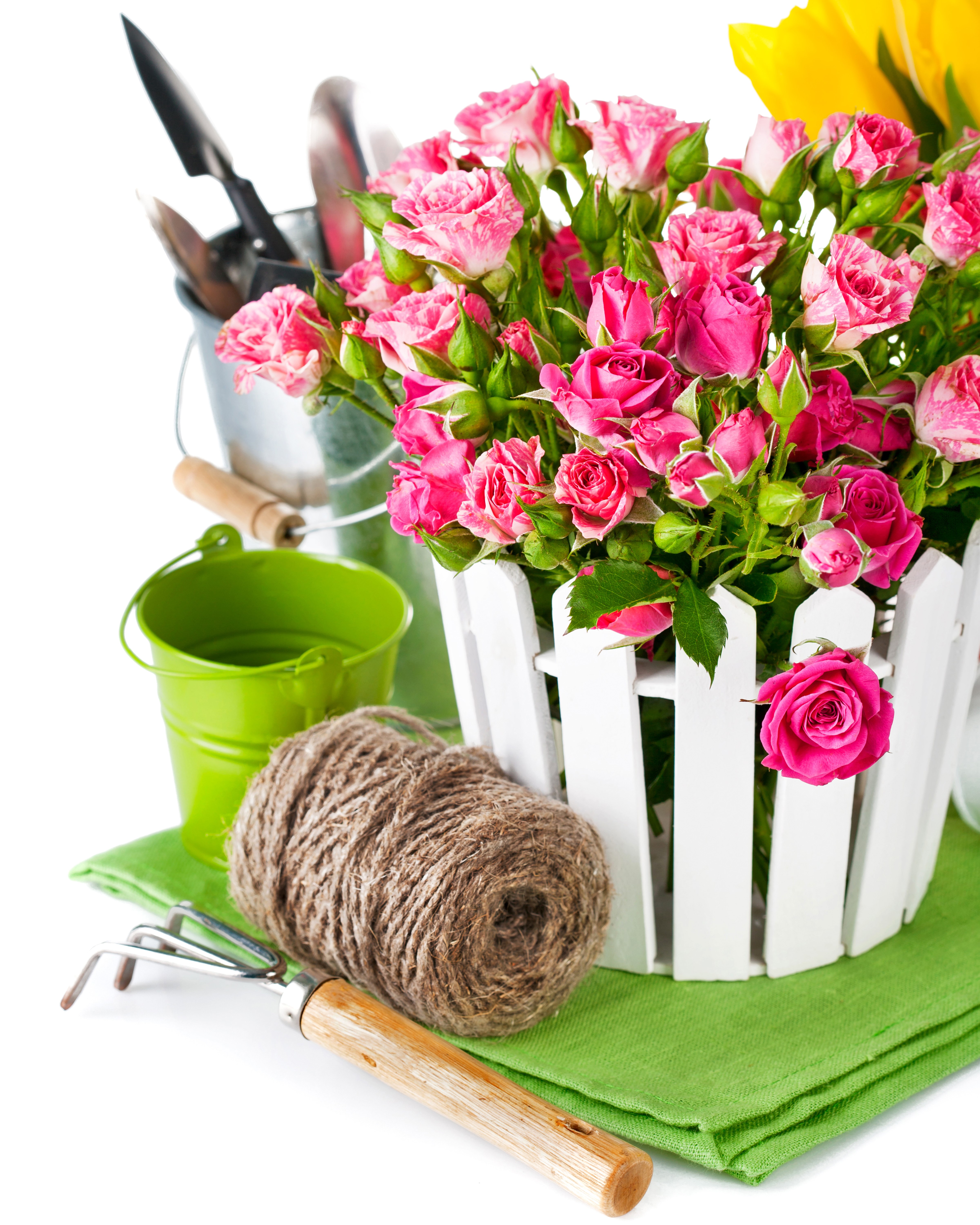 Pink Roses in White Picket Pot with Gardening Tools HD Phone Wallpaper