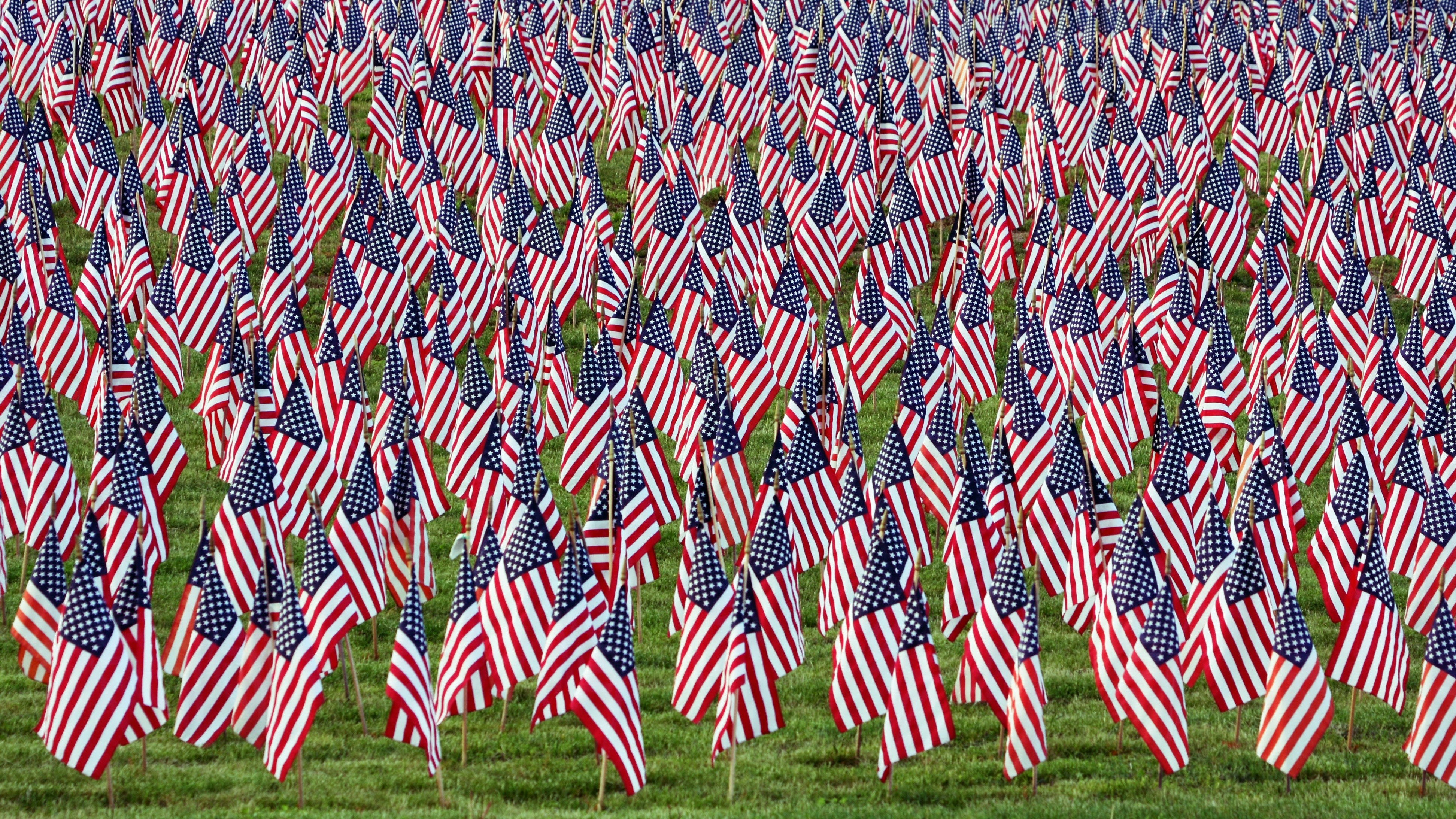 Field of American Flags HD Wallpaper