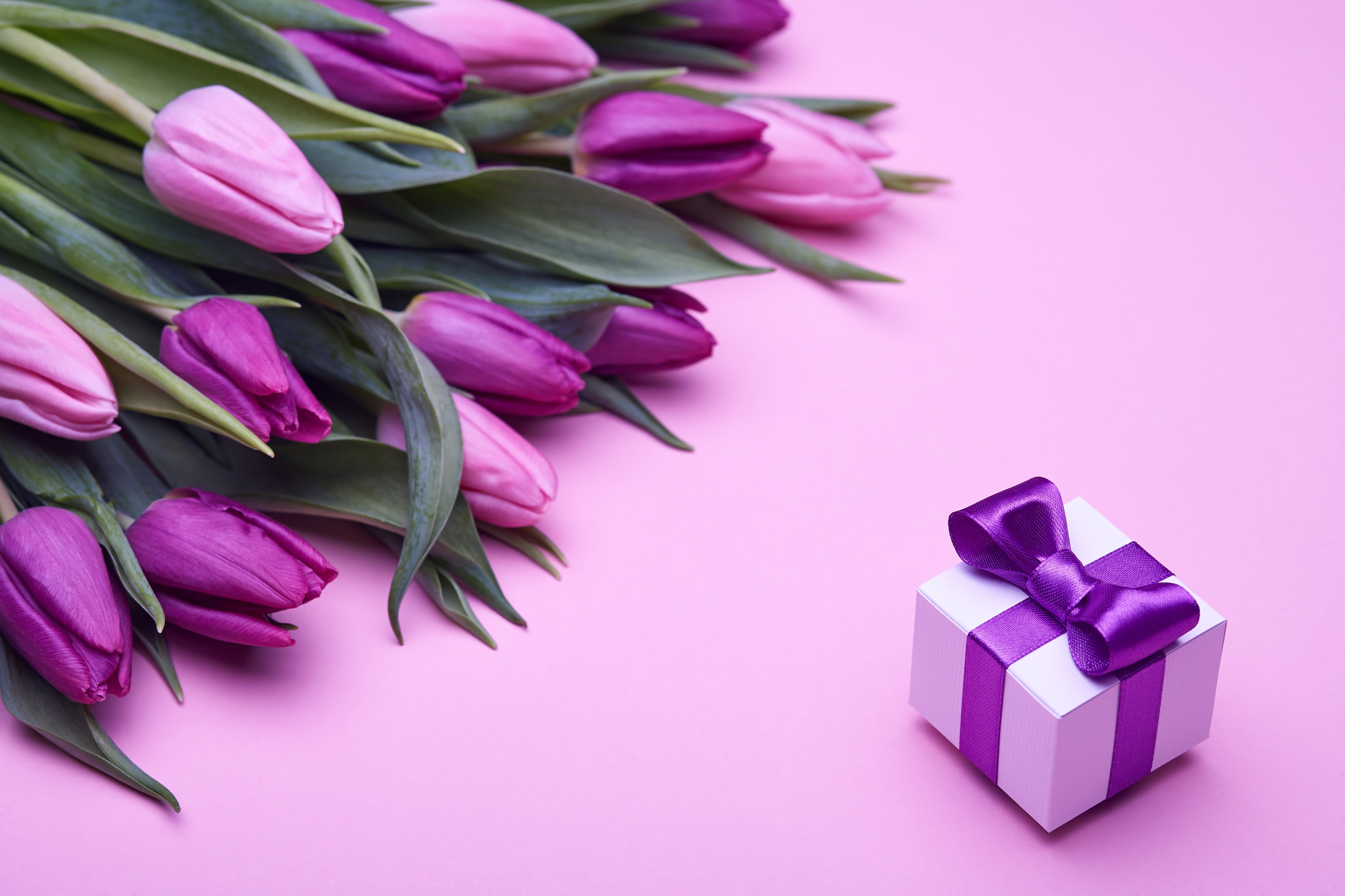 Tulips and a gift box HD Wallpaper