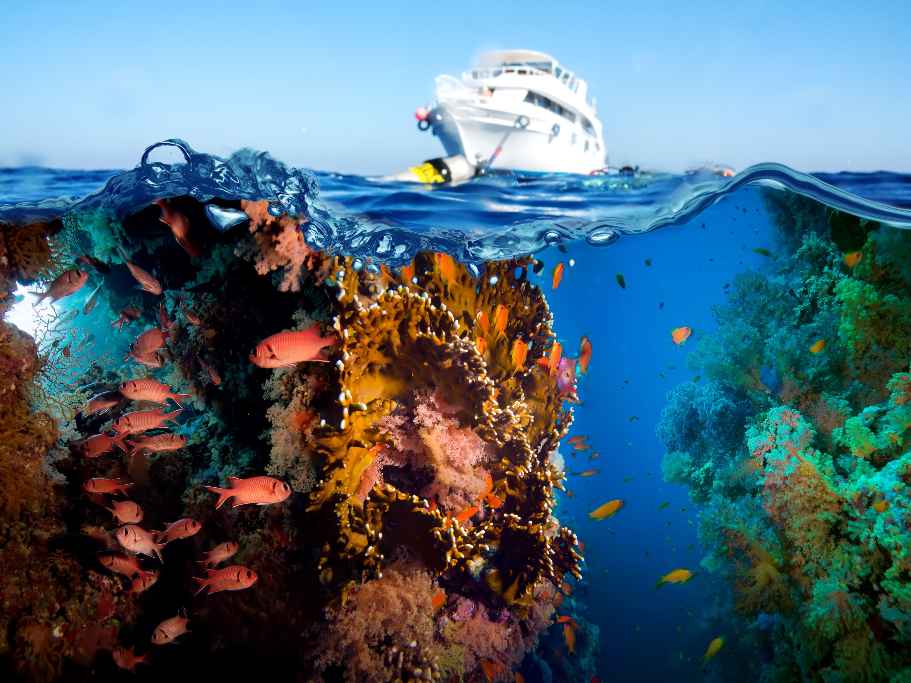 Underwater coral reef with fish and a boat HD Wallpaper