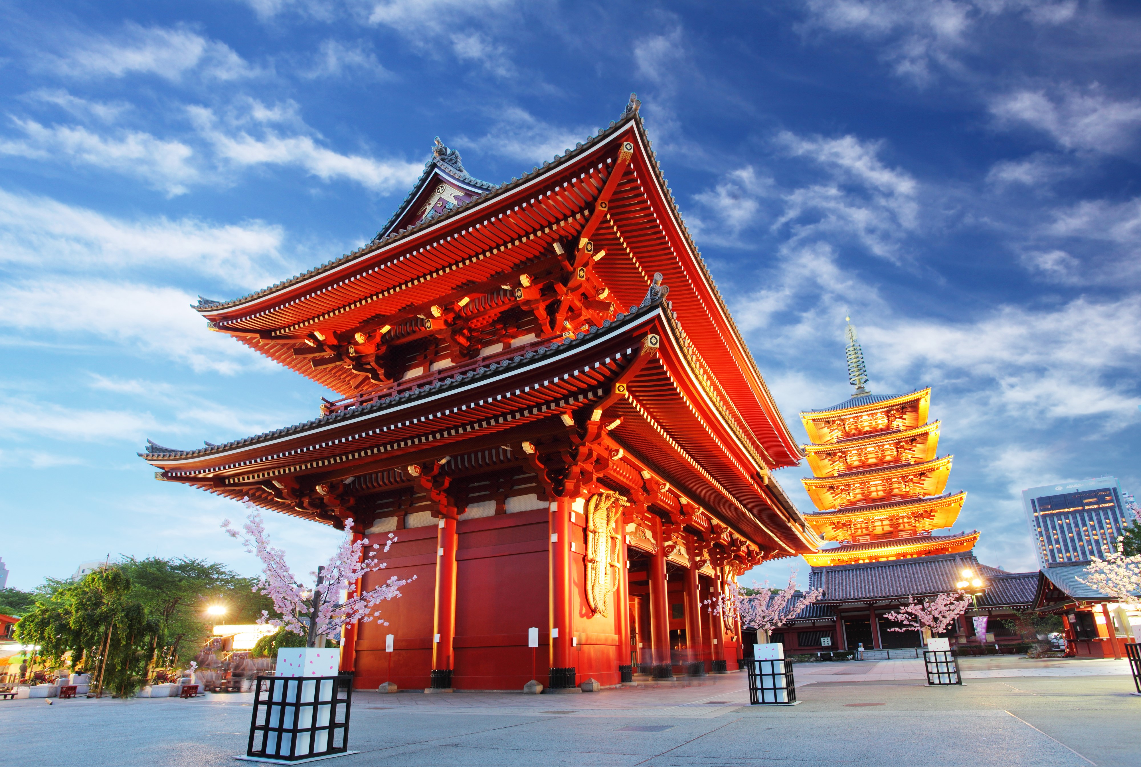 4K Asakusa Kannon Temple Tokyo Japan Flowering Trees HD Wallpaper