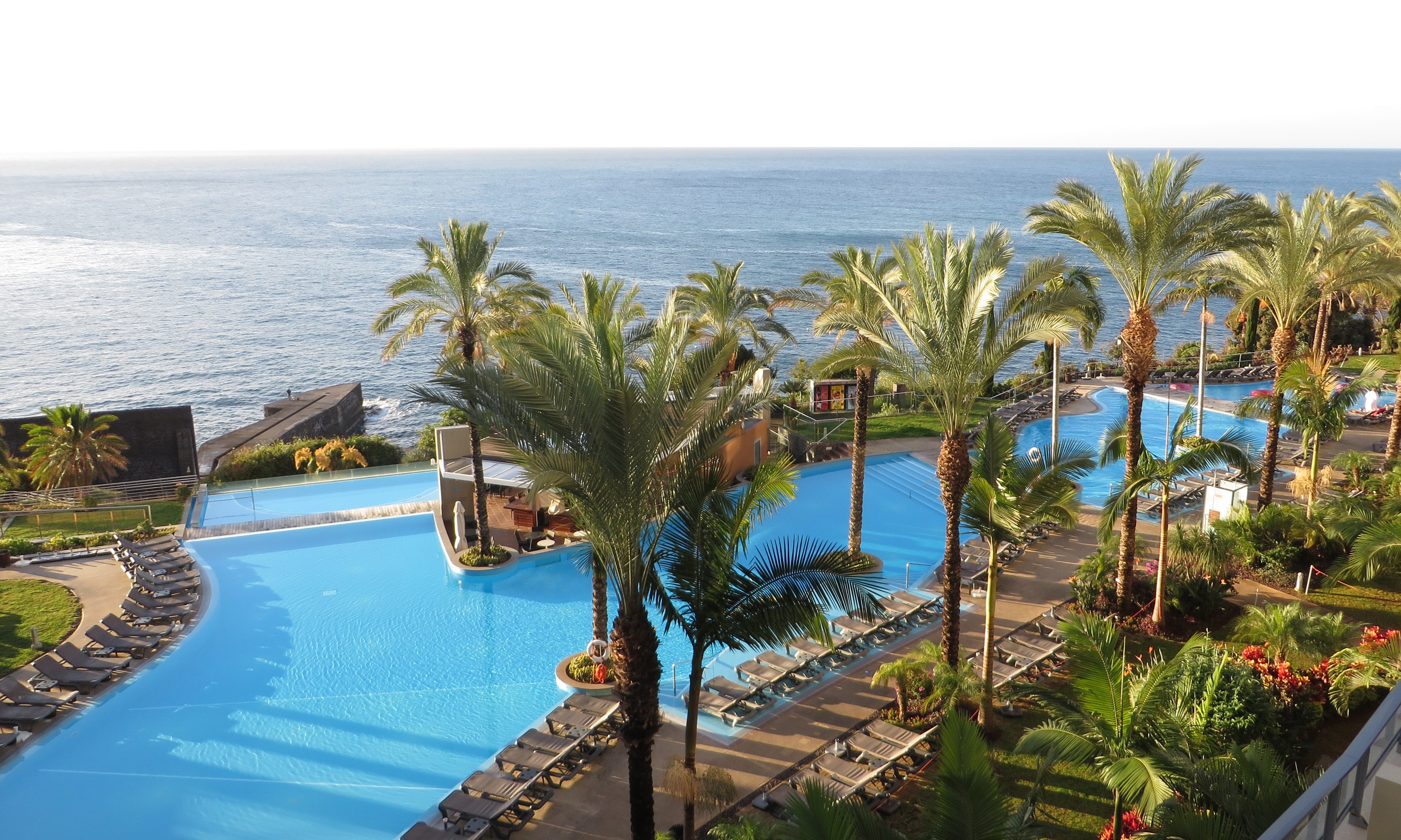 Resort pool with palm trees and ocean view in Funchal, Madeira HD Wallpaper