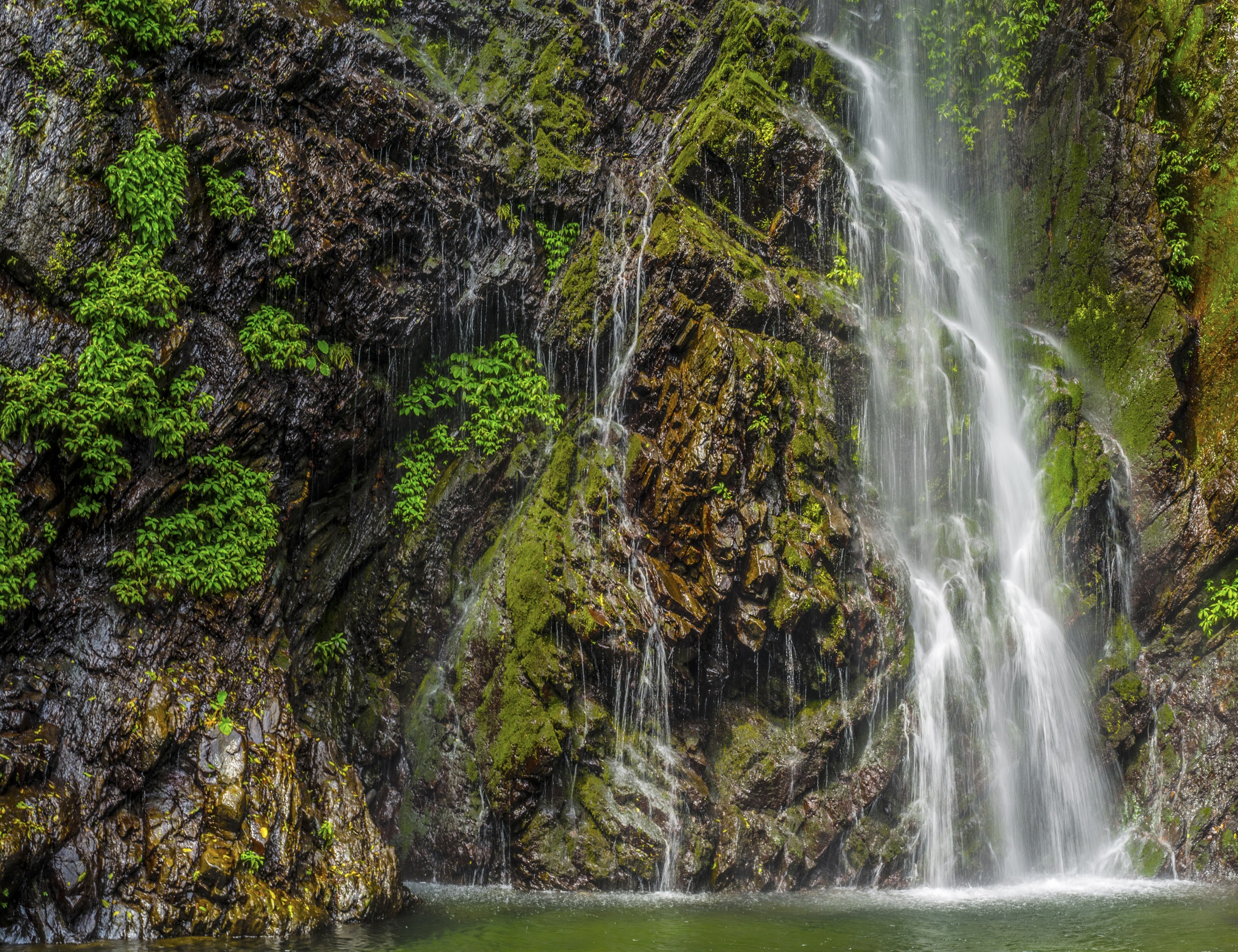 Waterfall cascading down a moss-covered rocky cliff in Japan HD Wallpaper