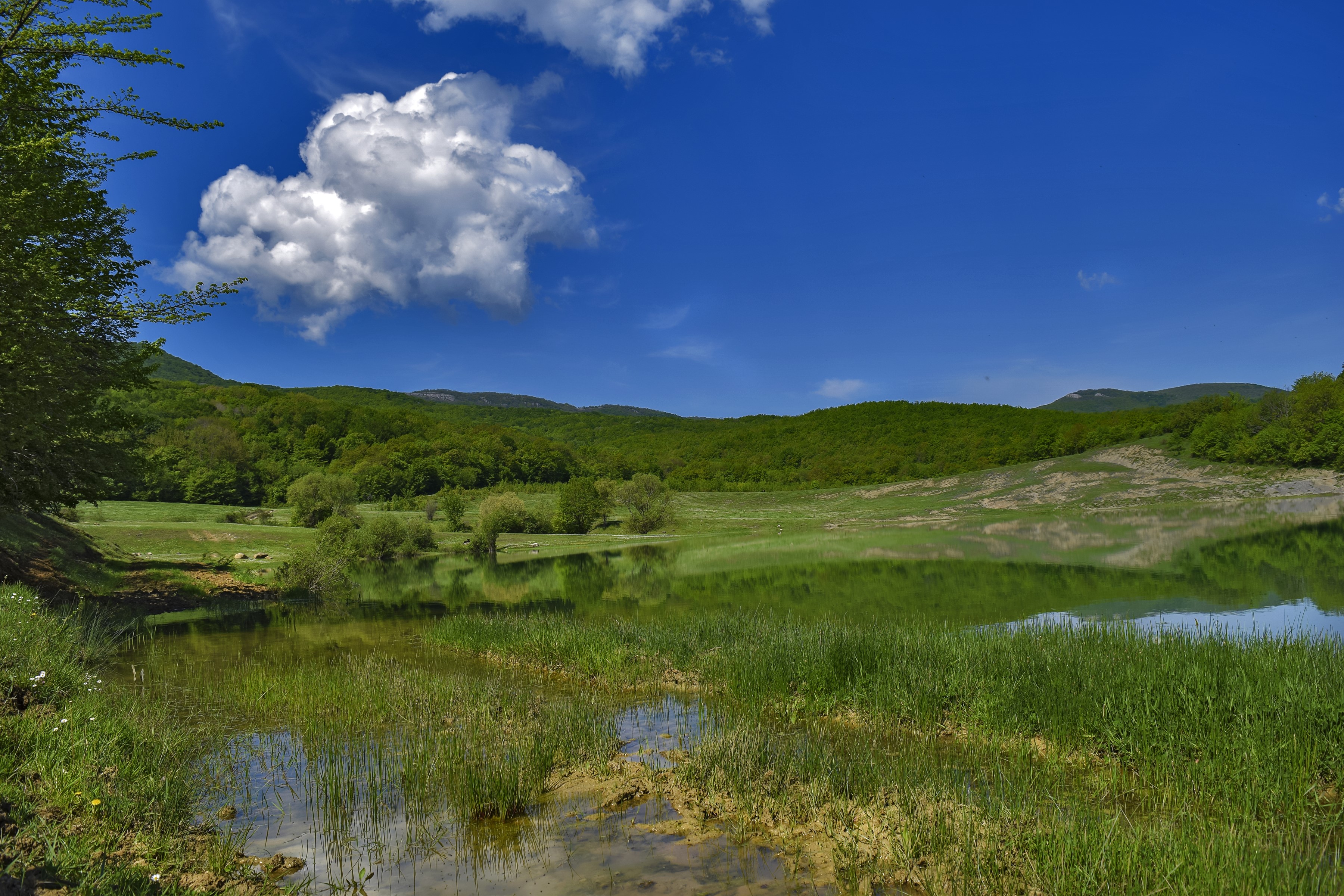 Pond and green hills in Crimea, Russia HD Wallpaper