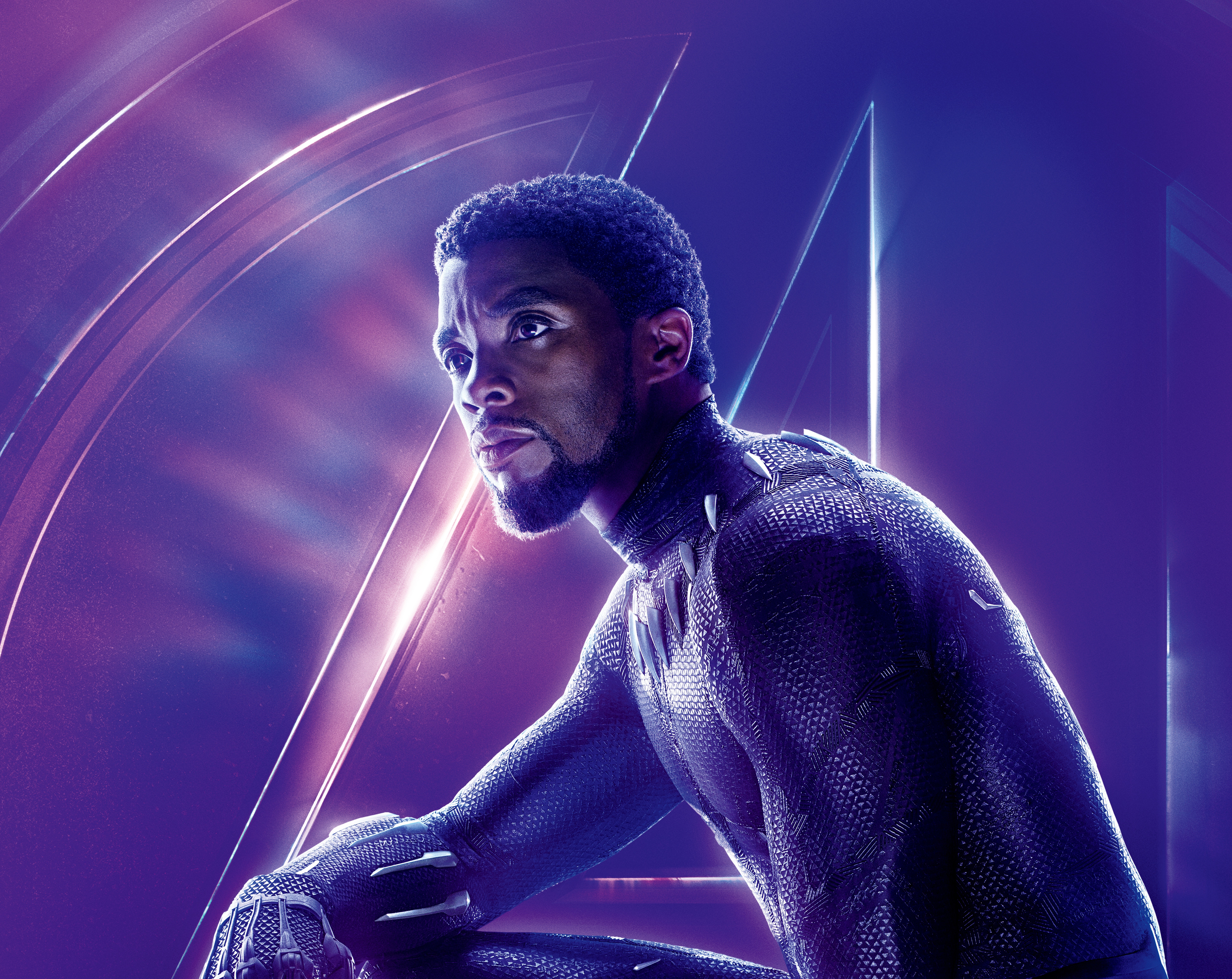 Chadwick Boseman as Black Panther in Avengers: Infinity War HD Wallpaper