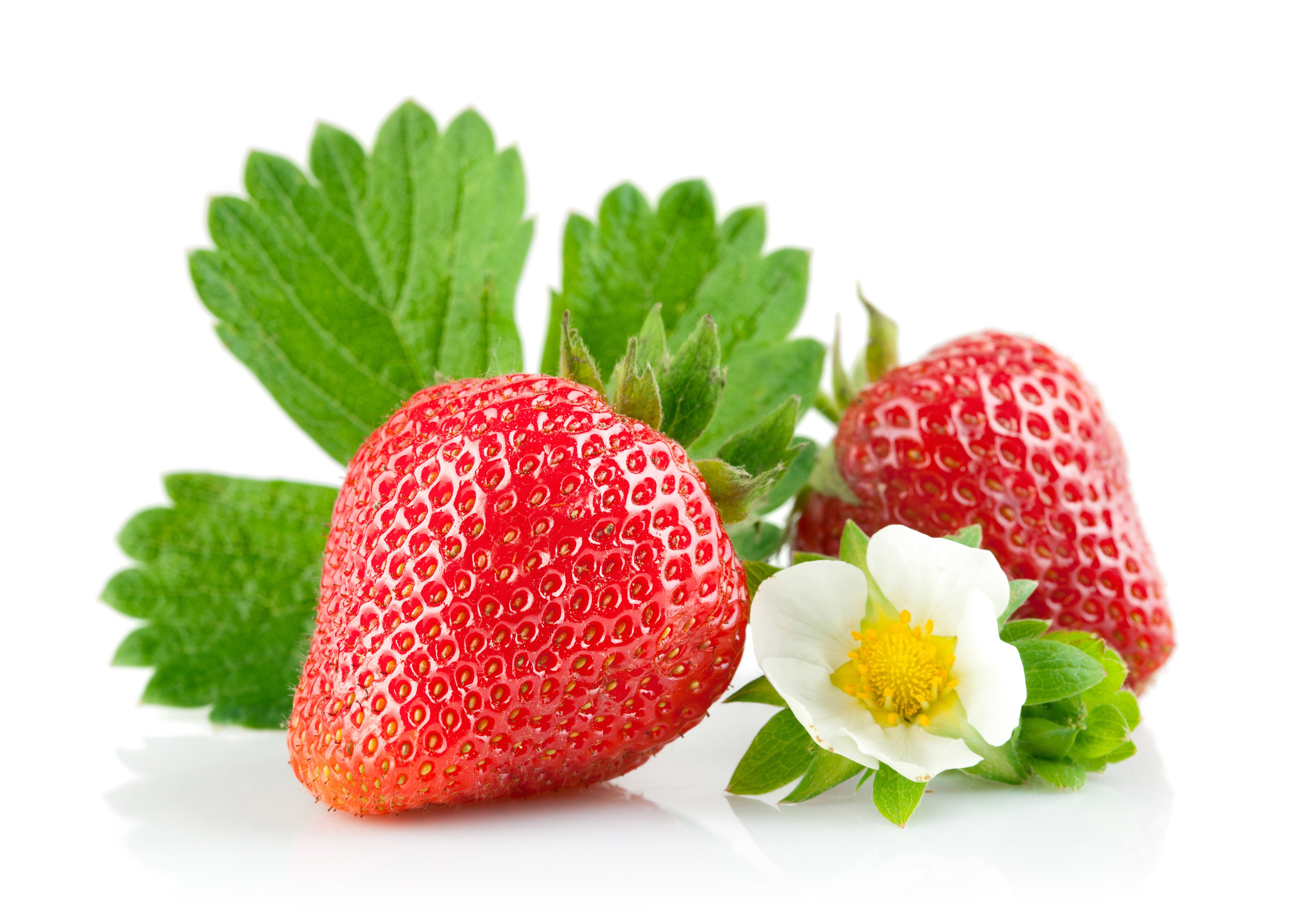 Two Strawberries with Leaves and Flower HD Wallpaper