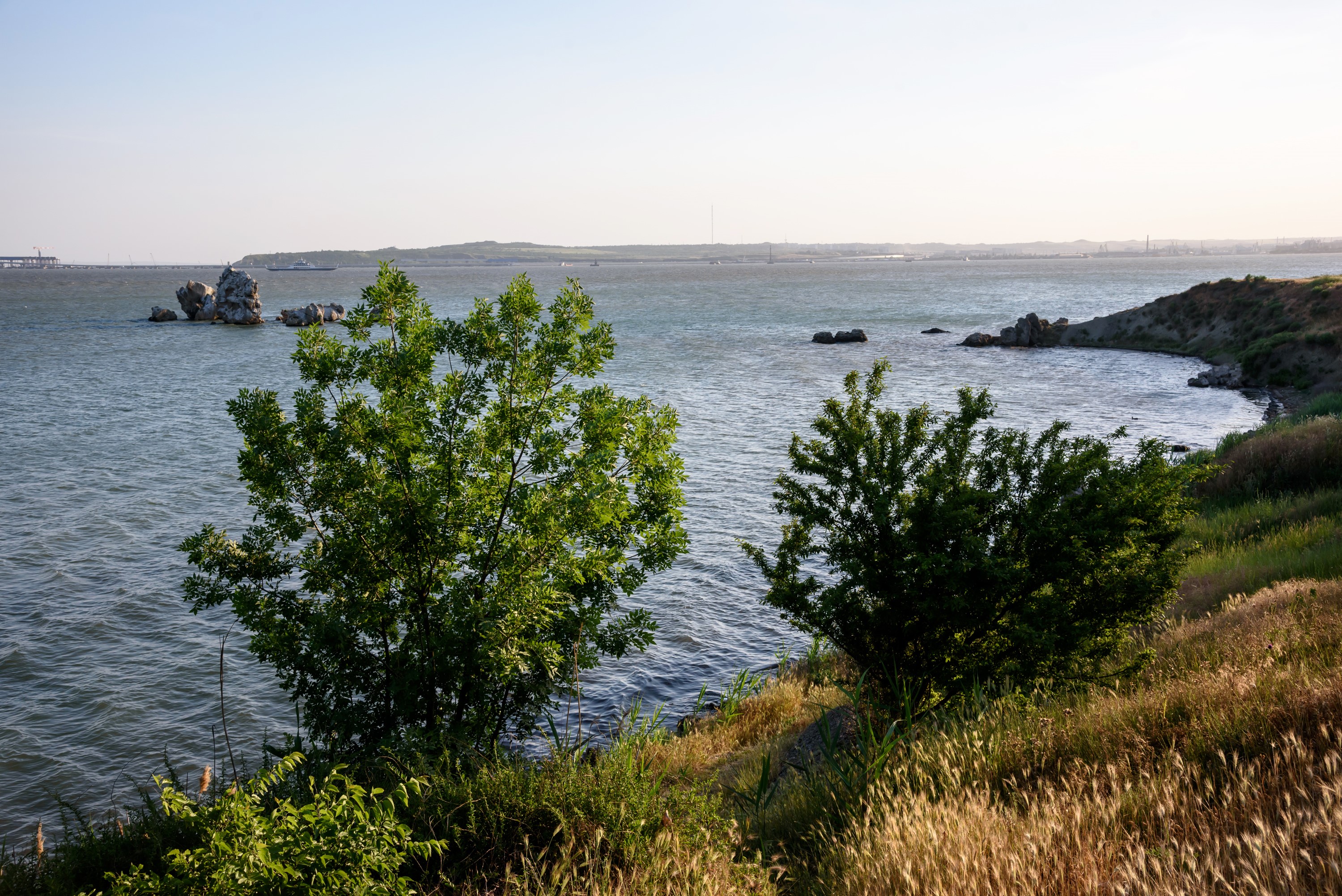 Coastline with trees and rocks in the sea, Crimea HD Wallpaper