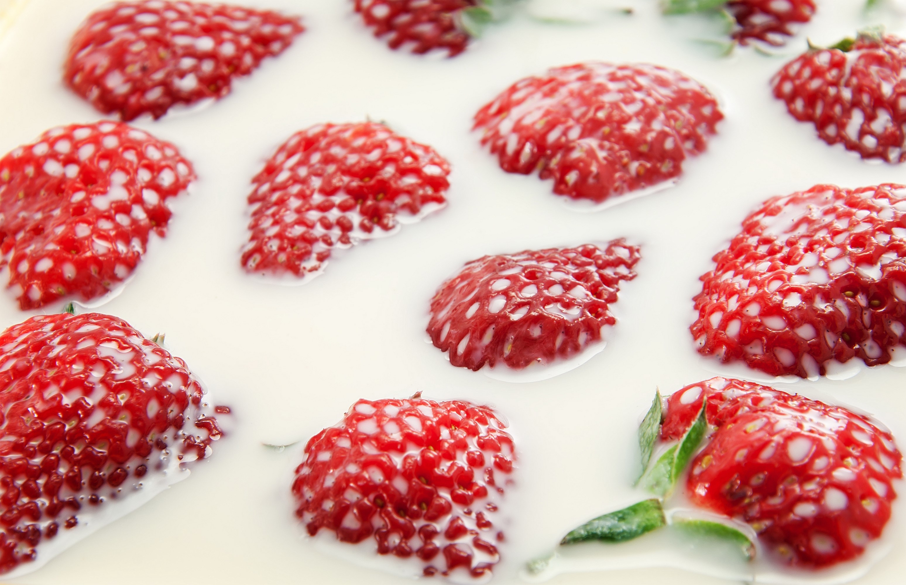 Strawberries in Milk HD Wallpaper
