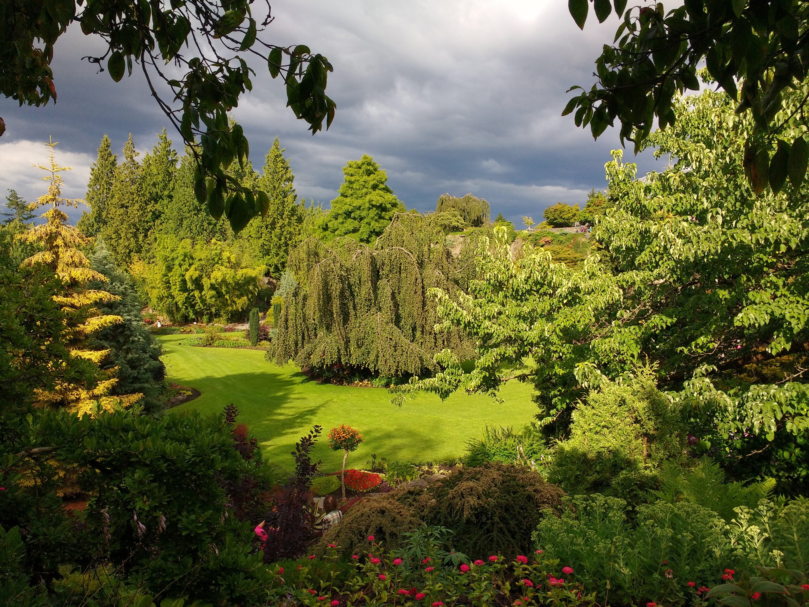 Queen Elizabeth Park, Canada HD Wallpaper