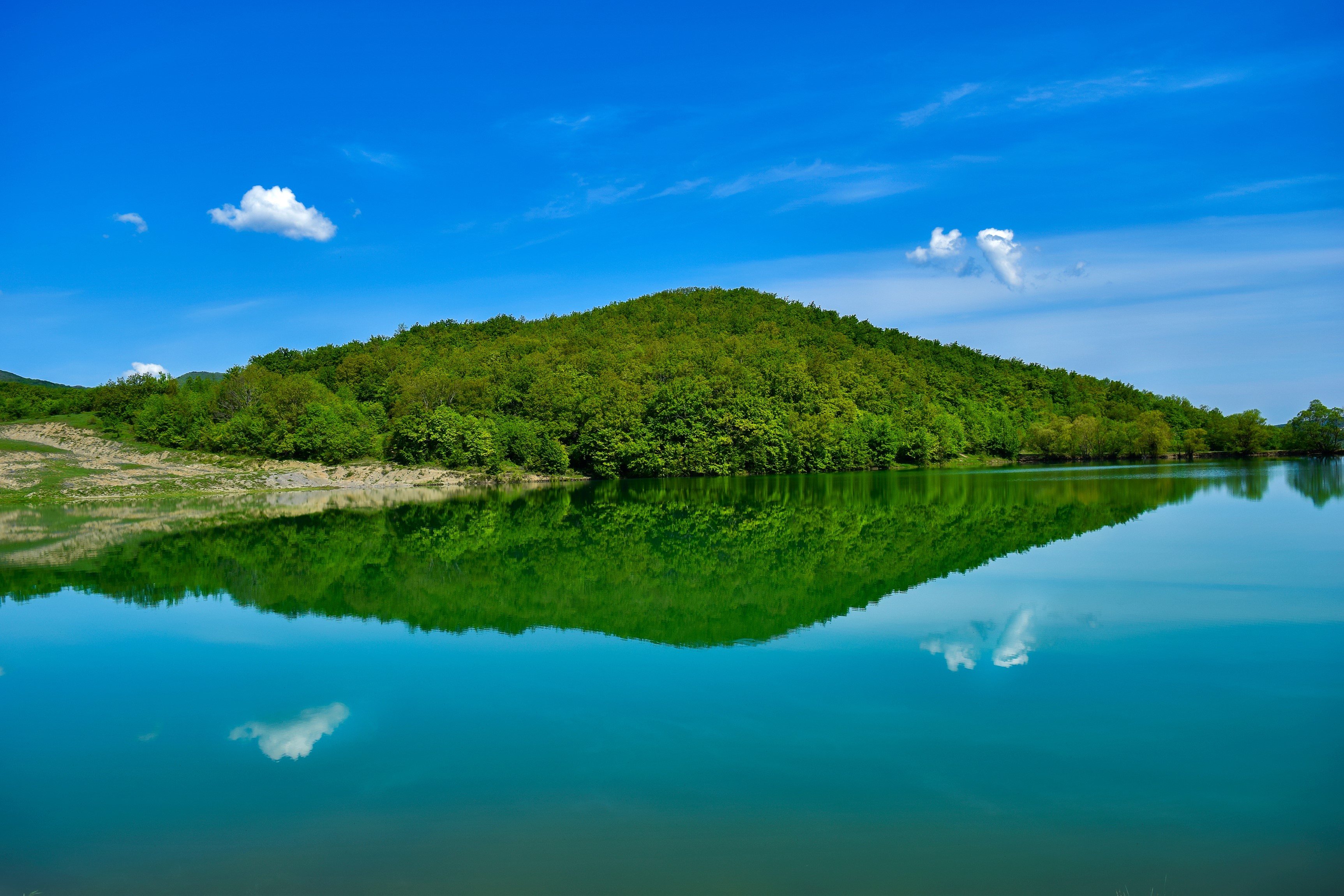 Green forest hill reflecting in a calm lake under blue sky HD Wallpaper