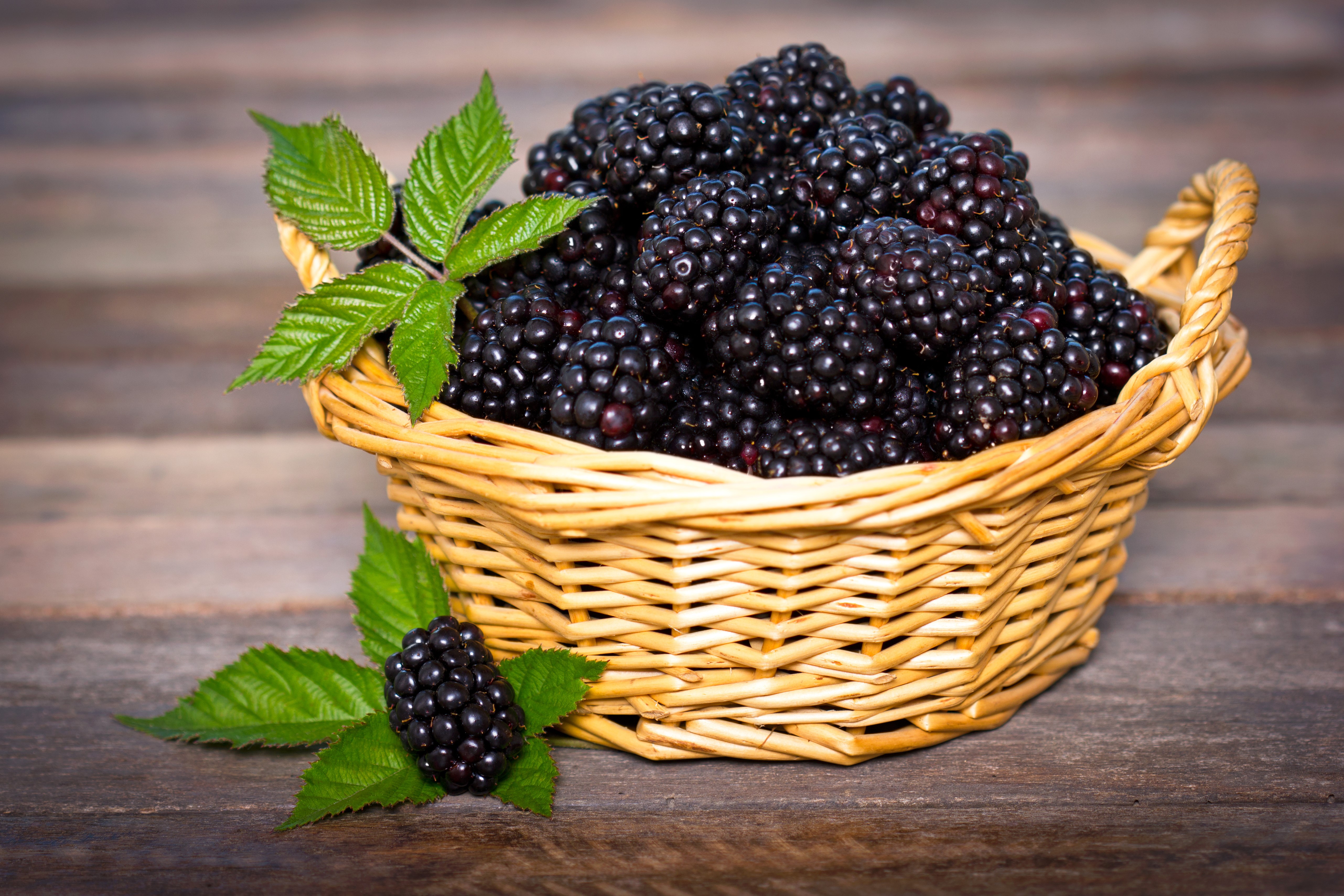Blackberries in a wicker basket HD Wallpaper