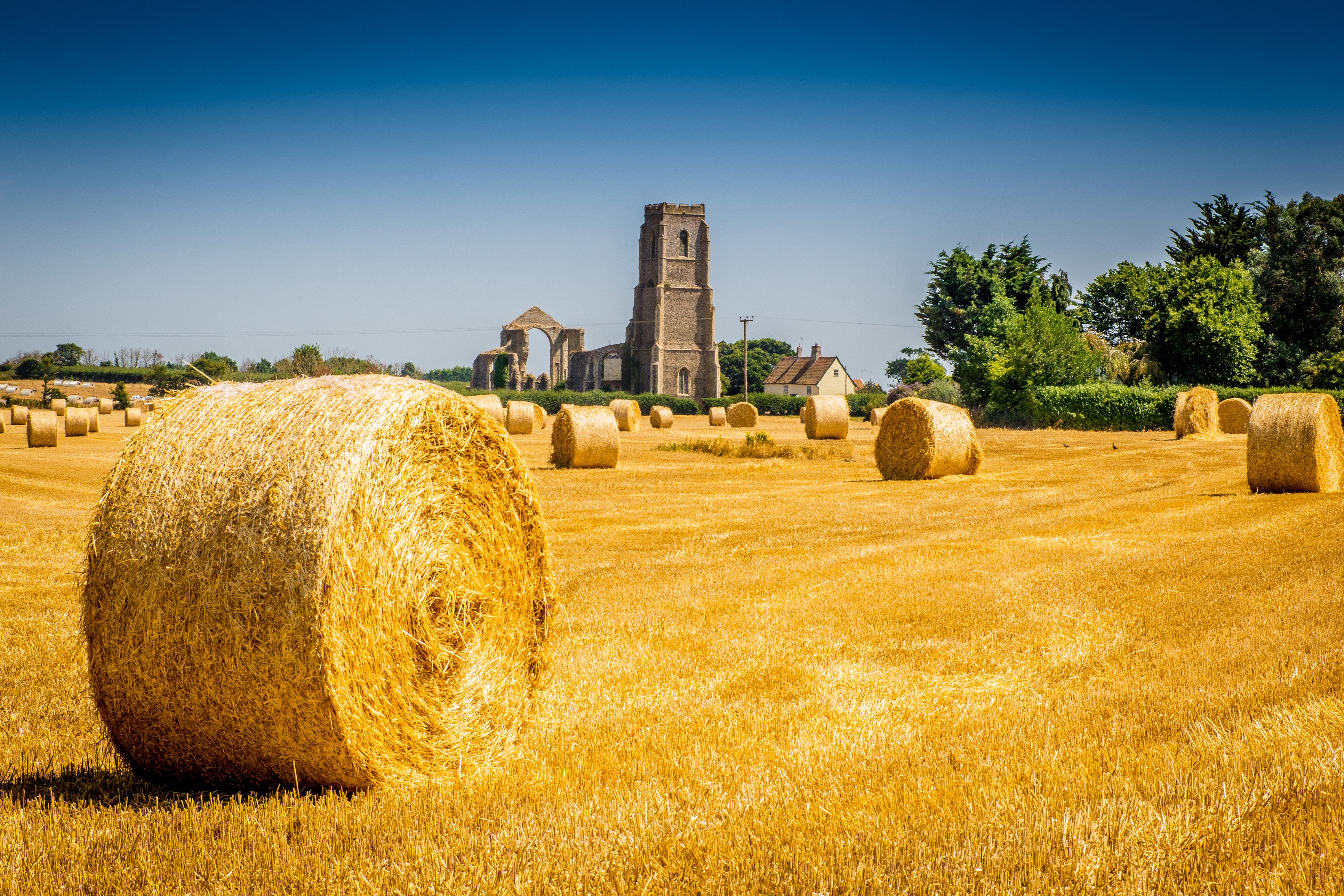 Hay bales in a field with church ruins in Covehithe, England HD Wallpaper