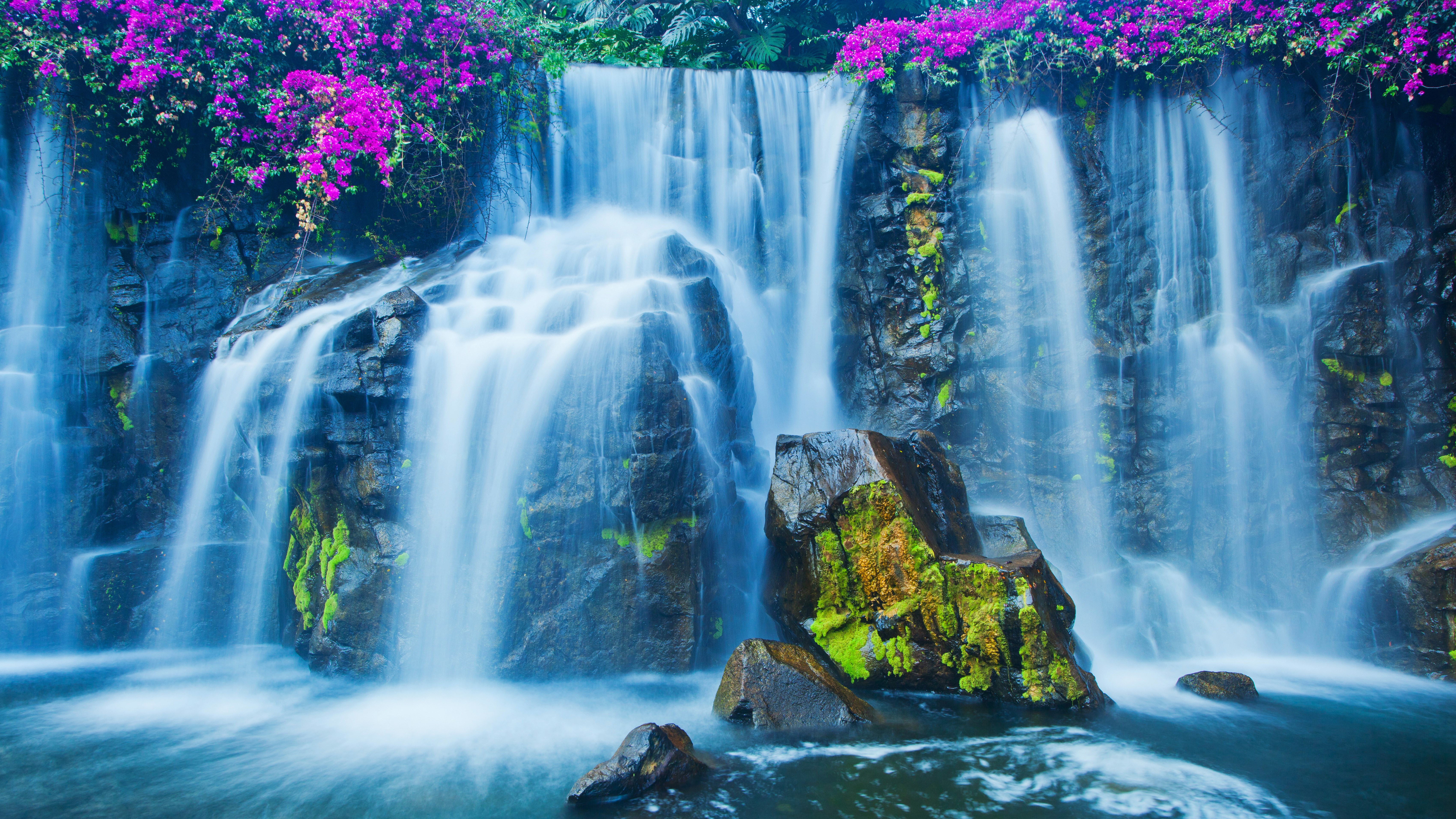 Waterfall with purple flowers and mossy rocks HD Wallpaper