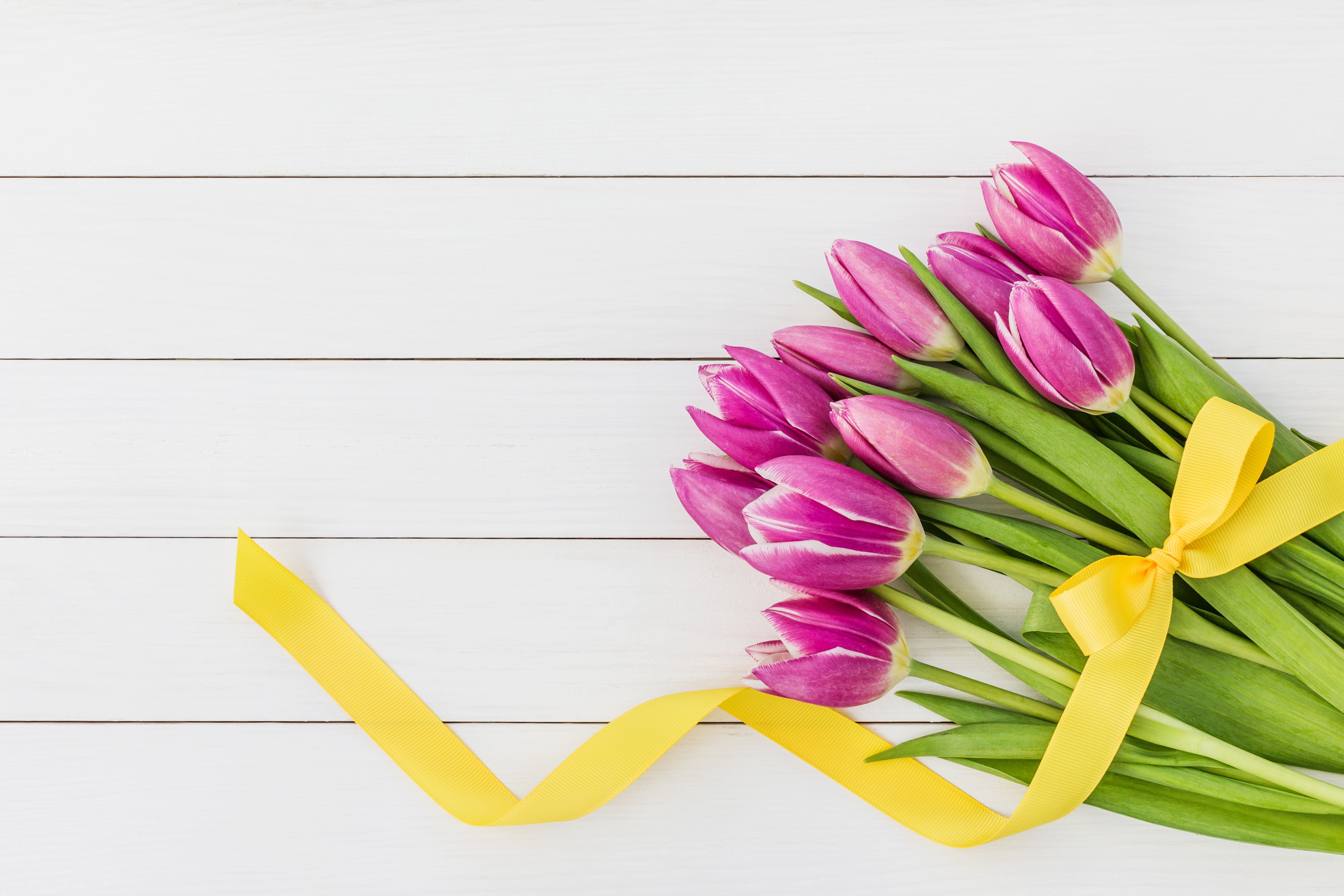 Purple Tulips with Yellow Ribbon on Wood Planks HD Wallpaper