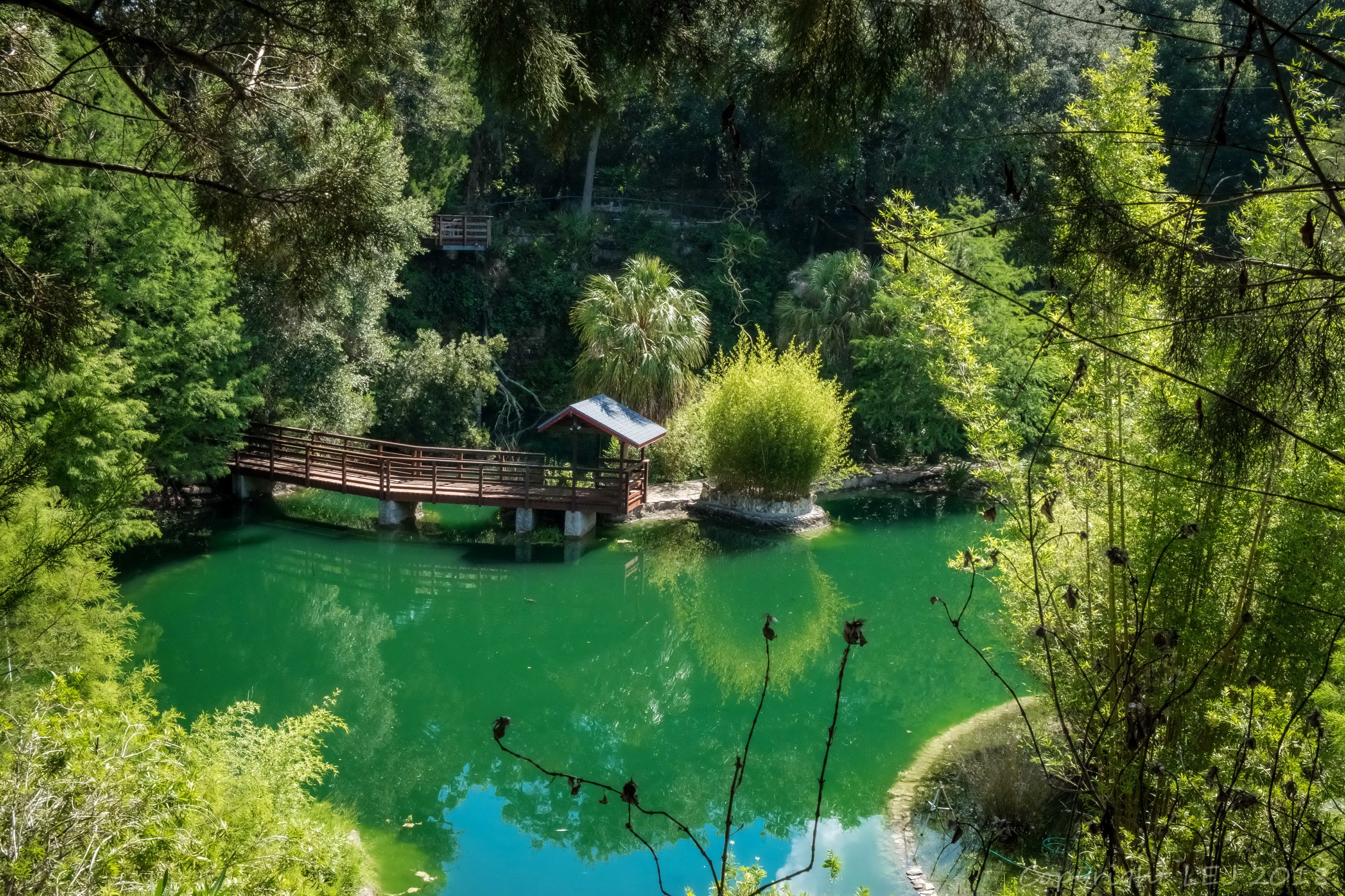 Wooden bridge over a green lake at Cedar Lakes Woods and Gardens HD Wallpaper