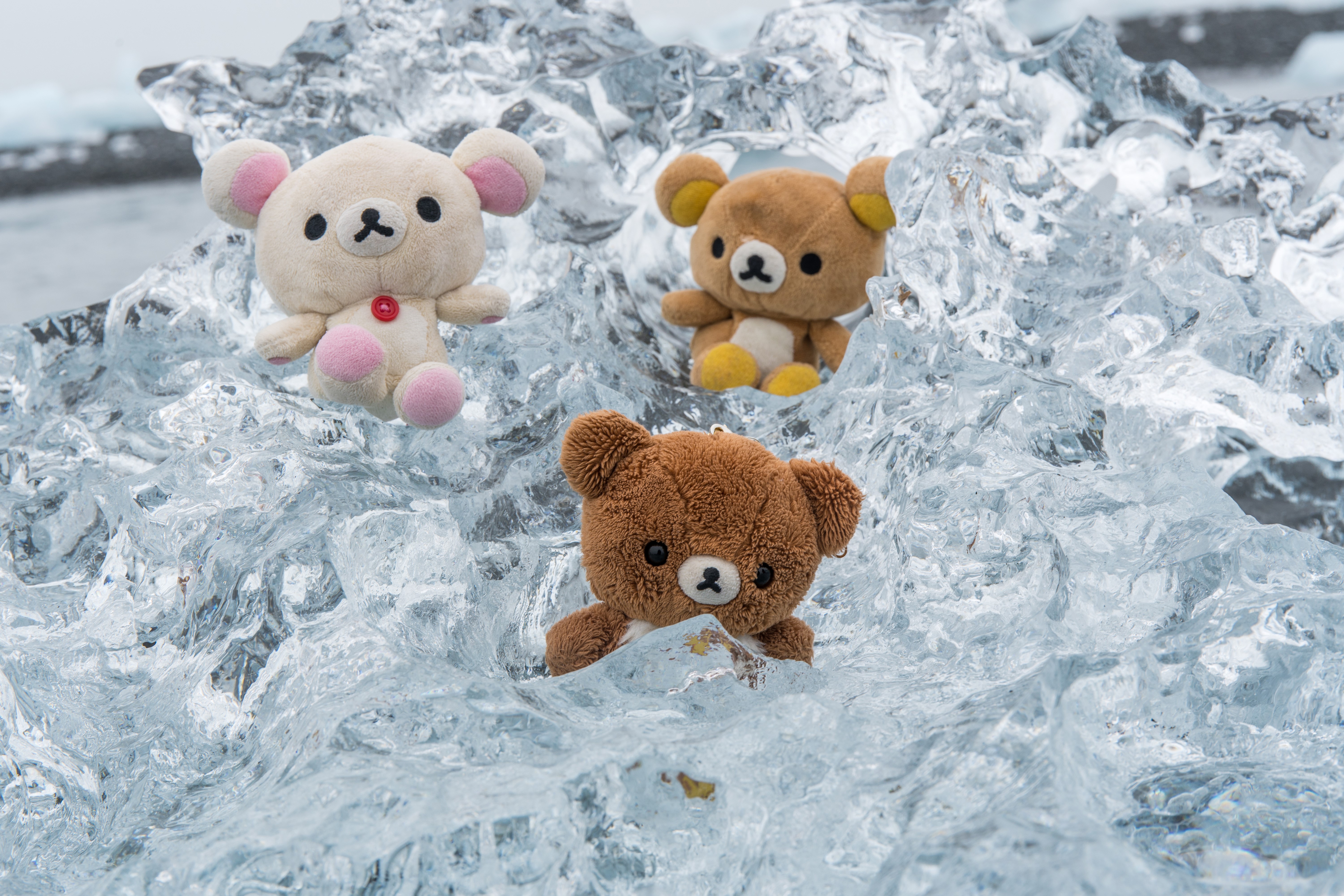 Three teddy bears on ice HD Wallpaper