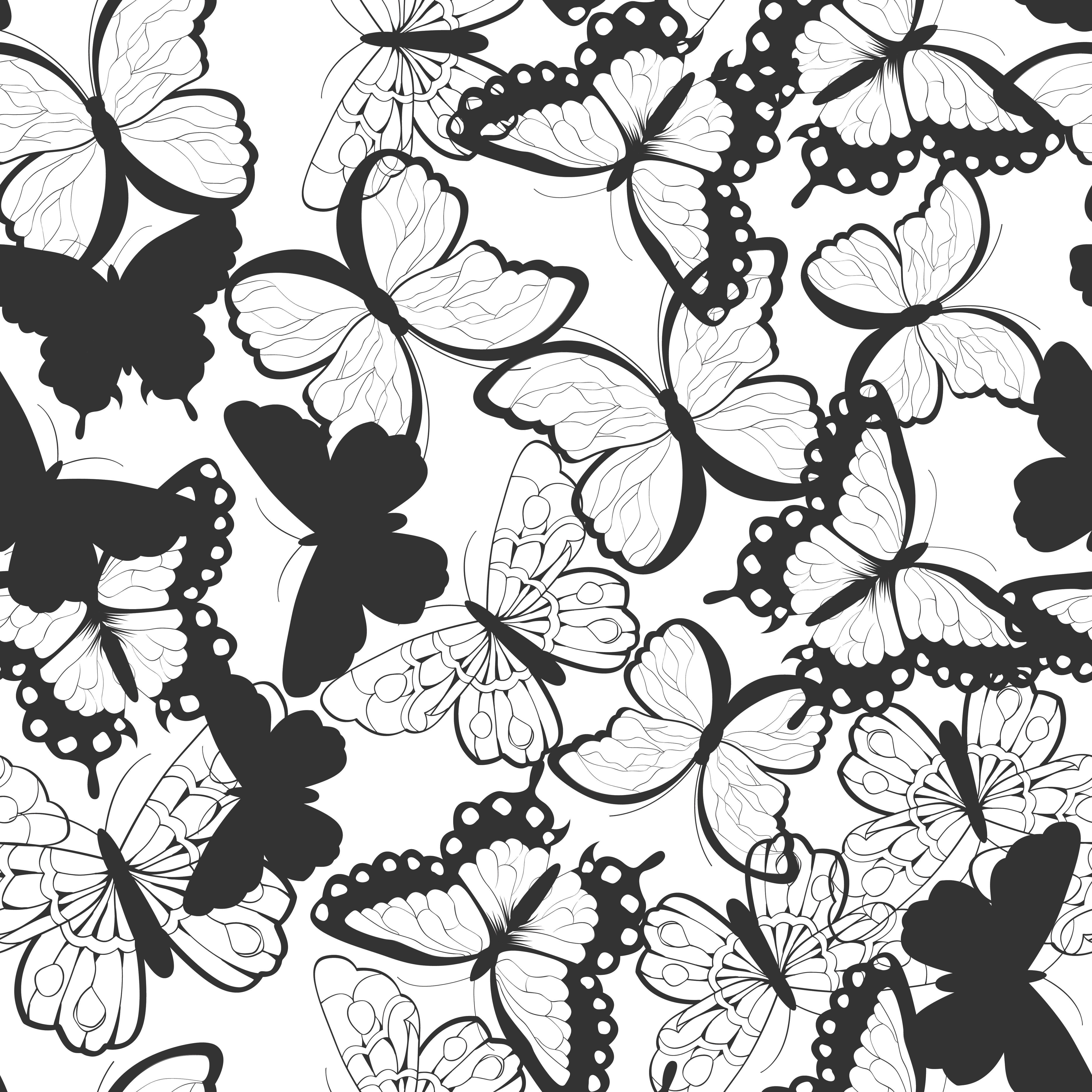 Black and white butterfly texture HD Wallpaper