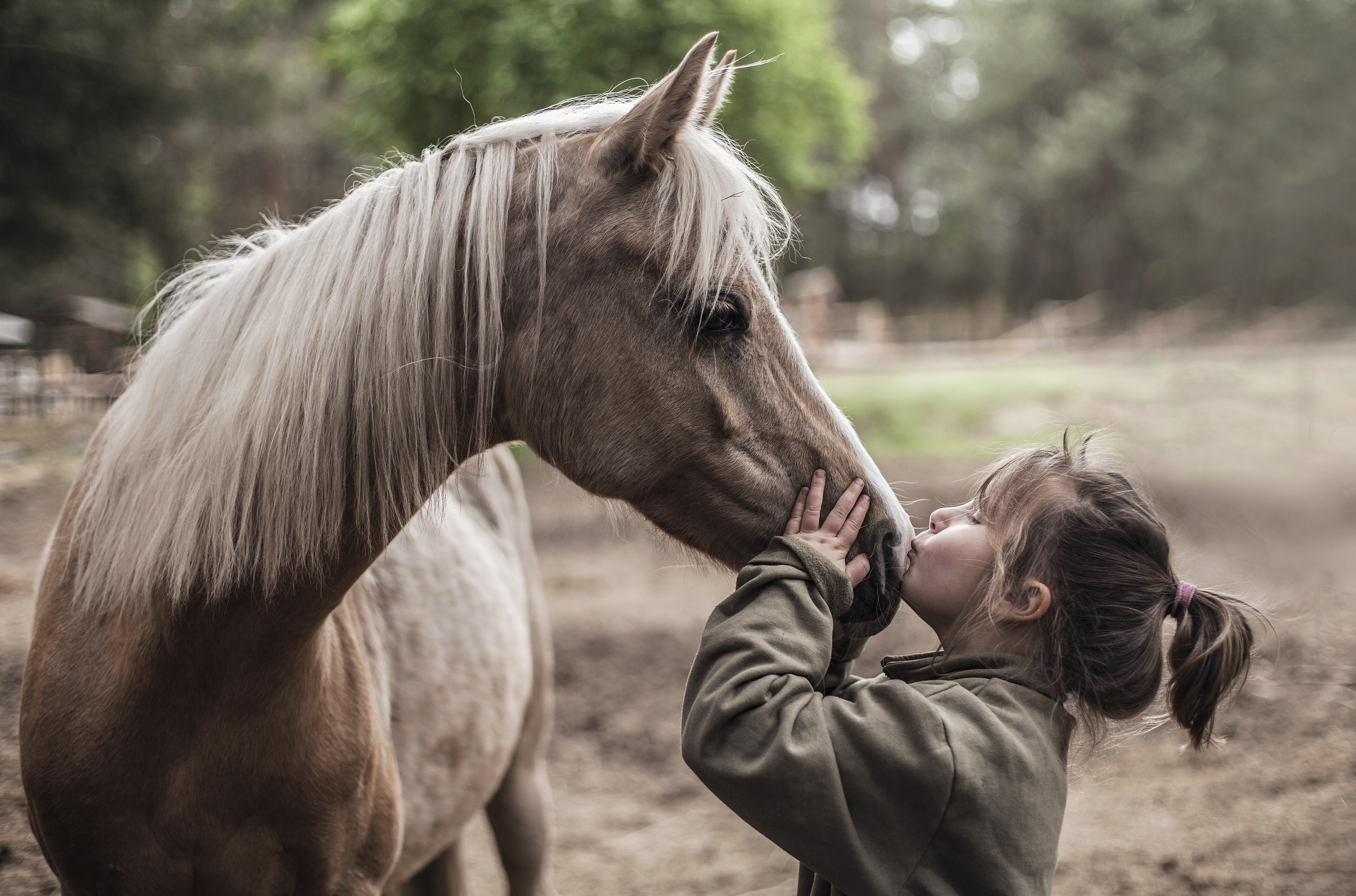 Girl kissing a horse HD Wallpaper