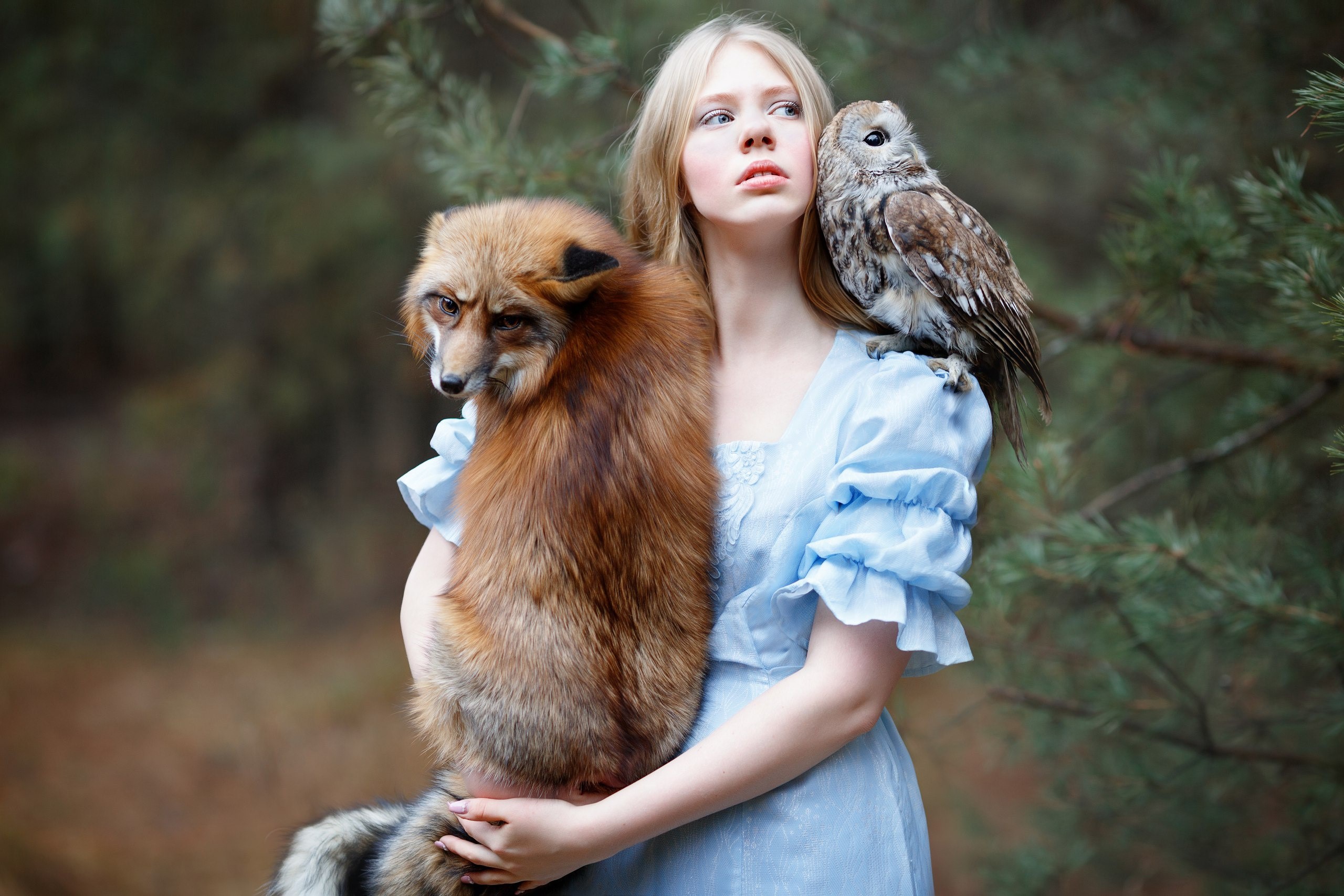 Girl with fox and owl in forest HD Wallpaper