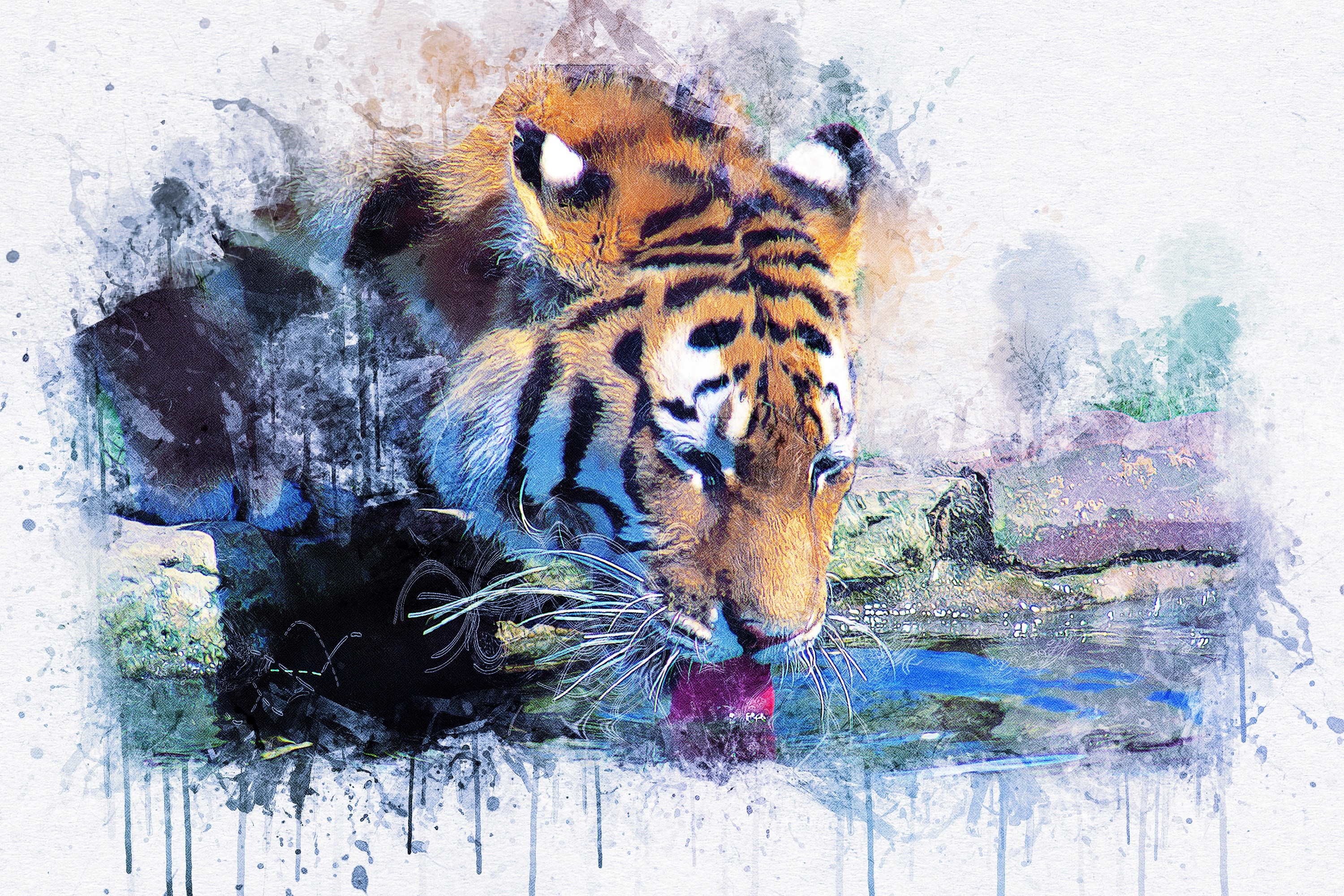 Tiger drinking water in a watercolor painting HD Wallpaper
