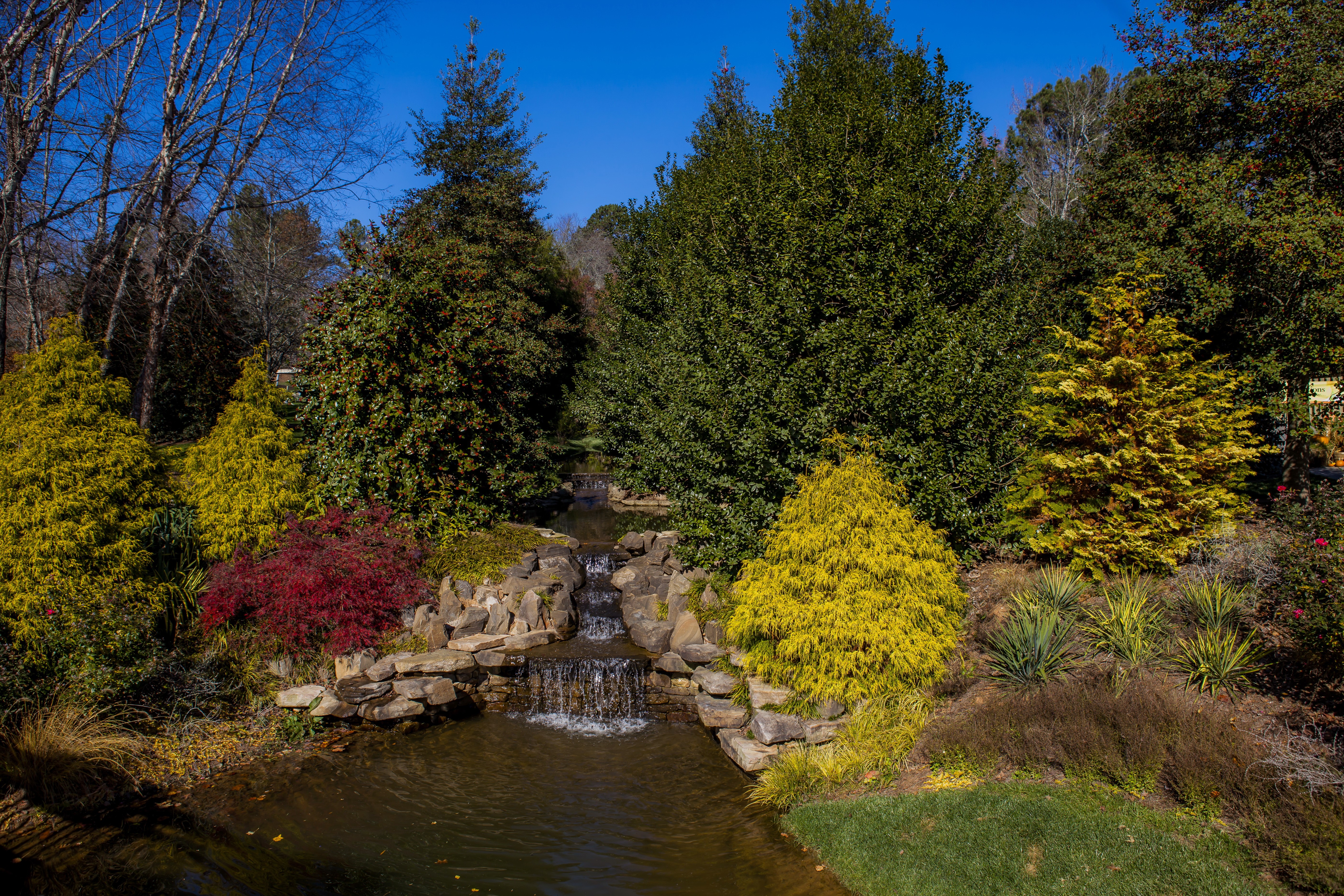 Gibbs Gardens waterfalls with trees and shrubs HD Wallpaper