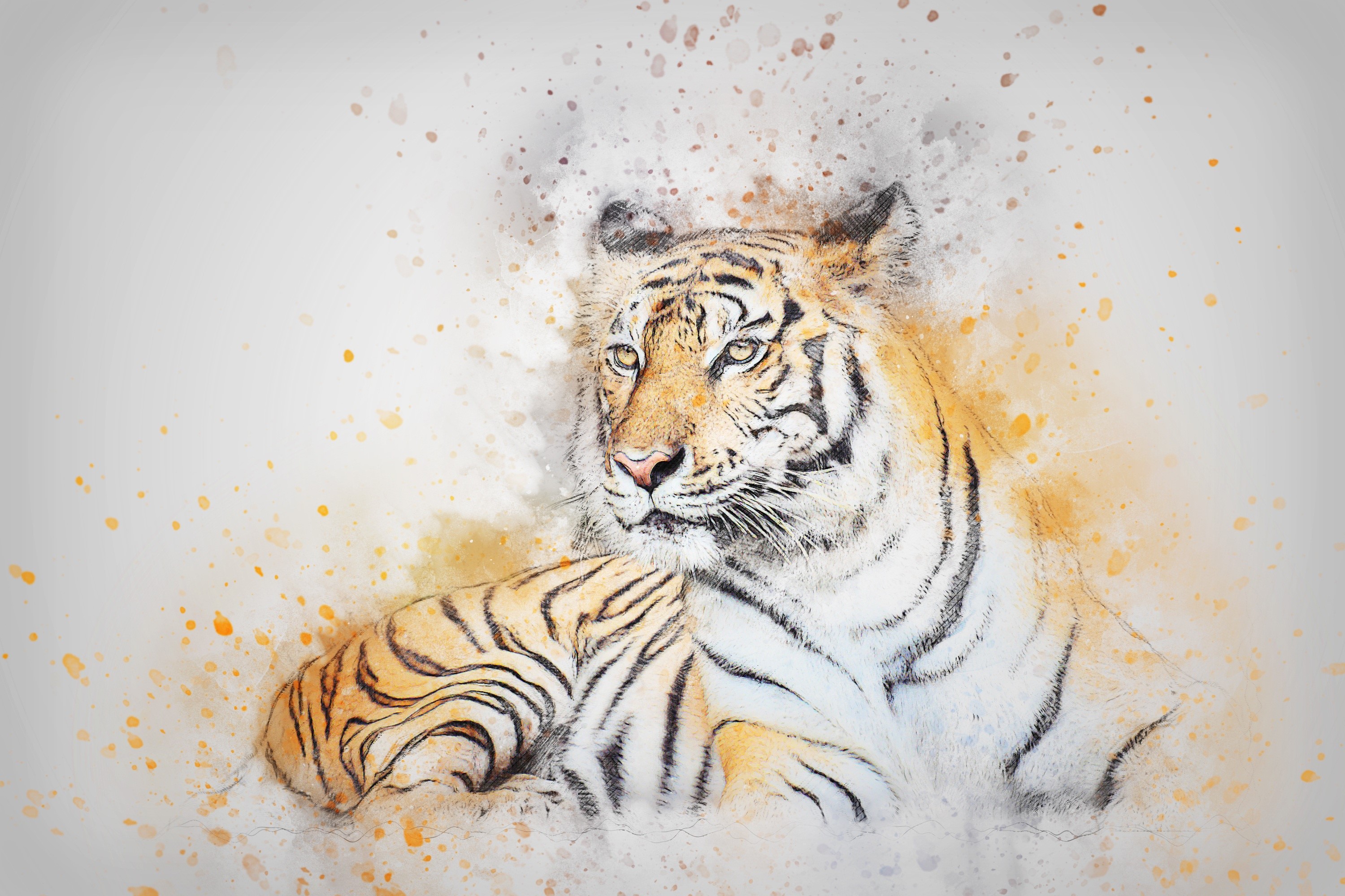 Tiger painted in watercolor style HD Wallpaper