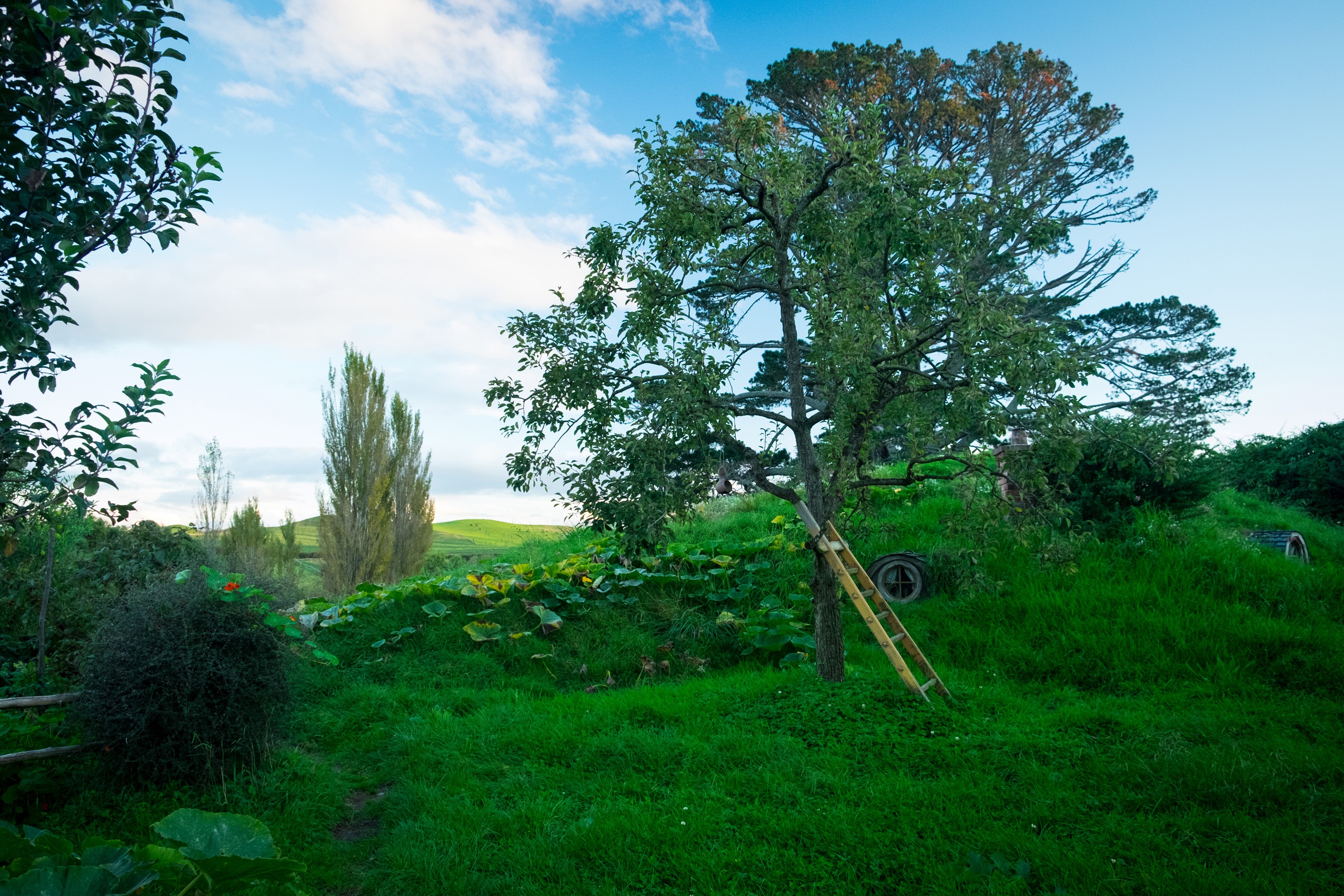 Hobbit House in Matamata, New Zealand HD Wallpaper