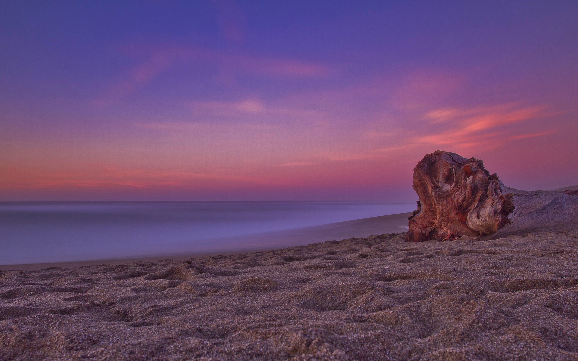 Driftwood on a beach at sunset HD Wallpaper