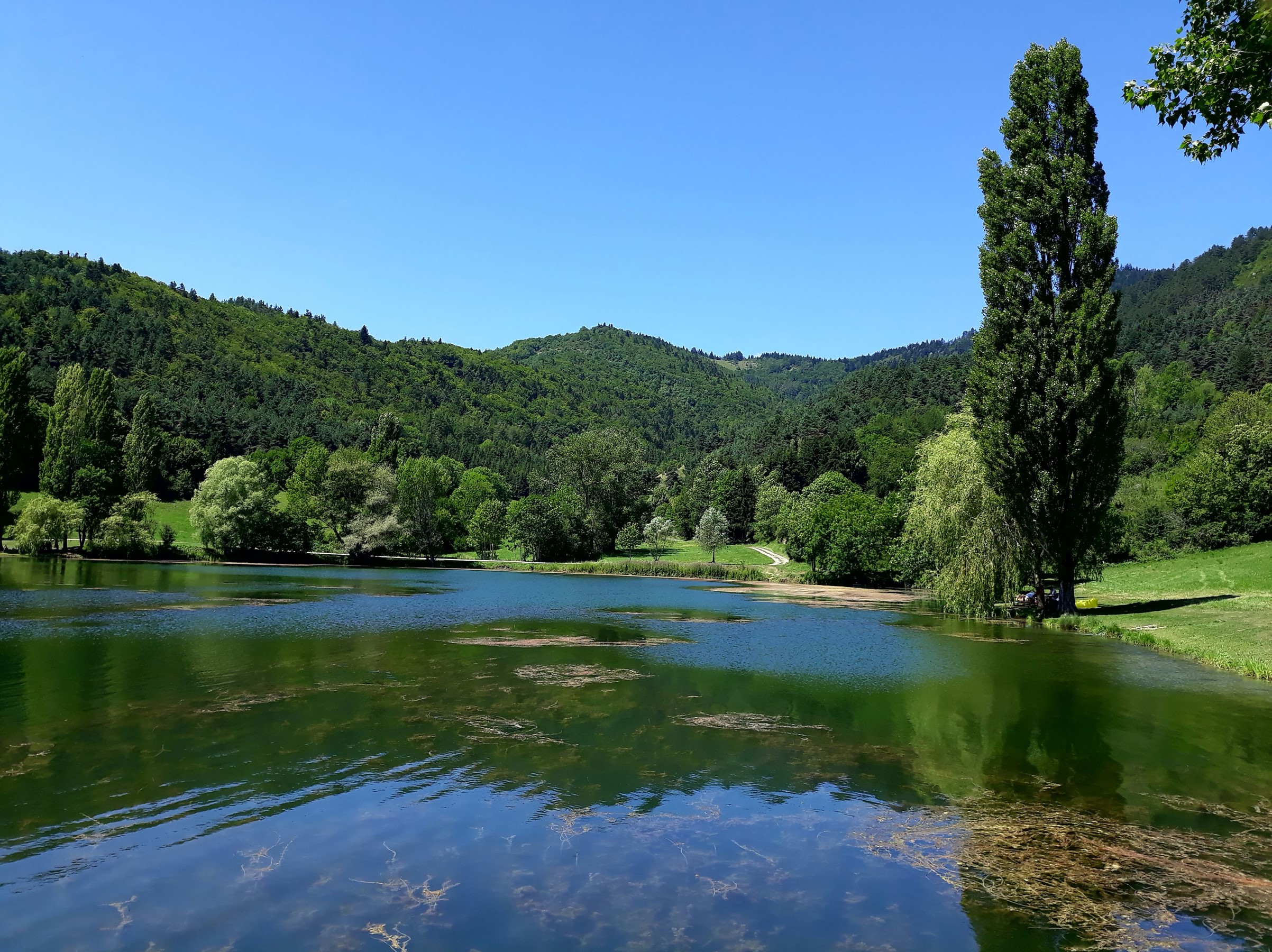 Lake and forested hills in Belcaire, France HD Wallpaper