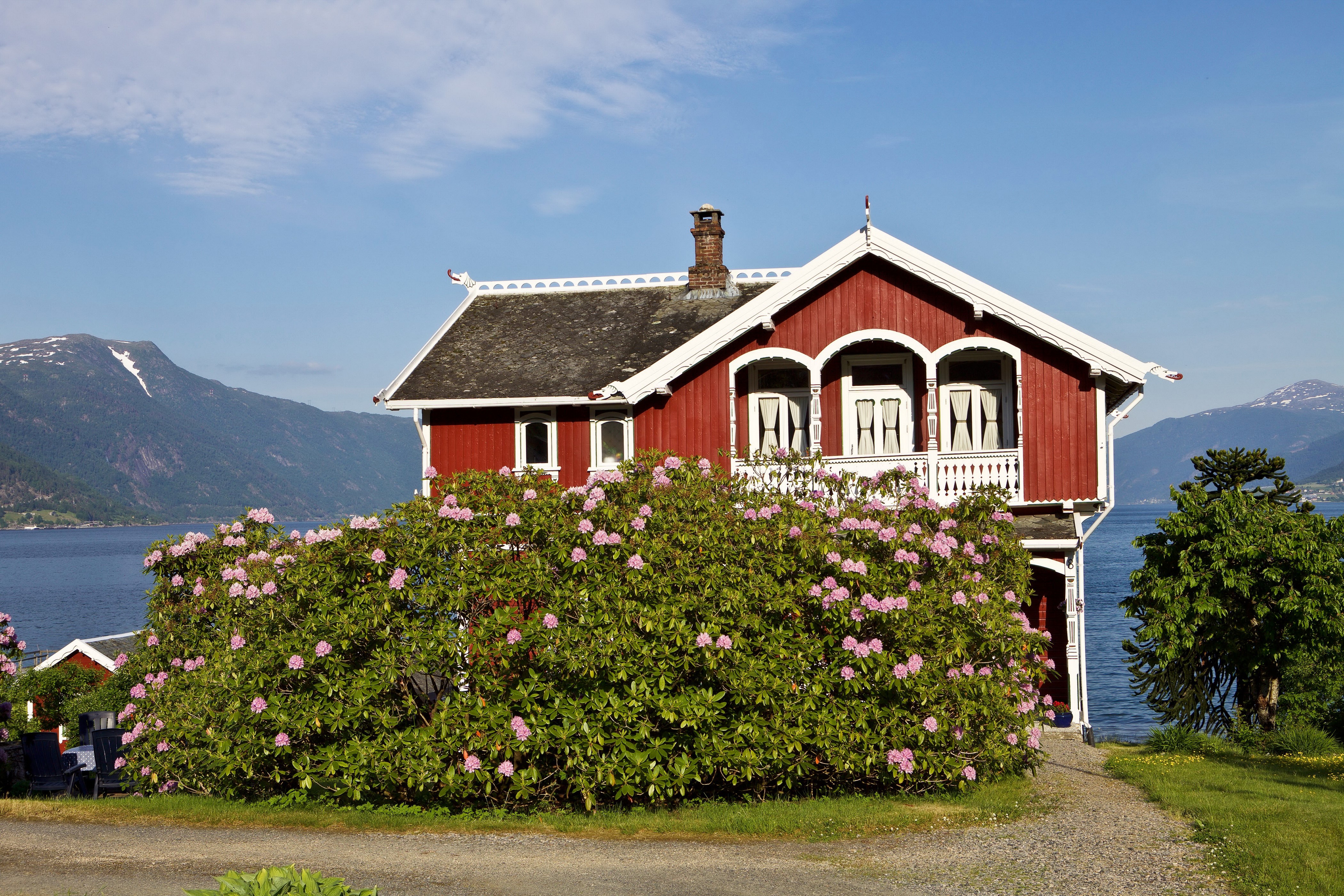 Red house with pink flowers in Balestrand, Norway HD Wallpaper