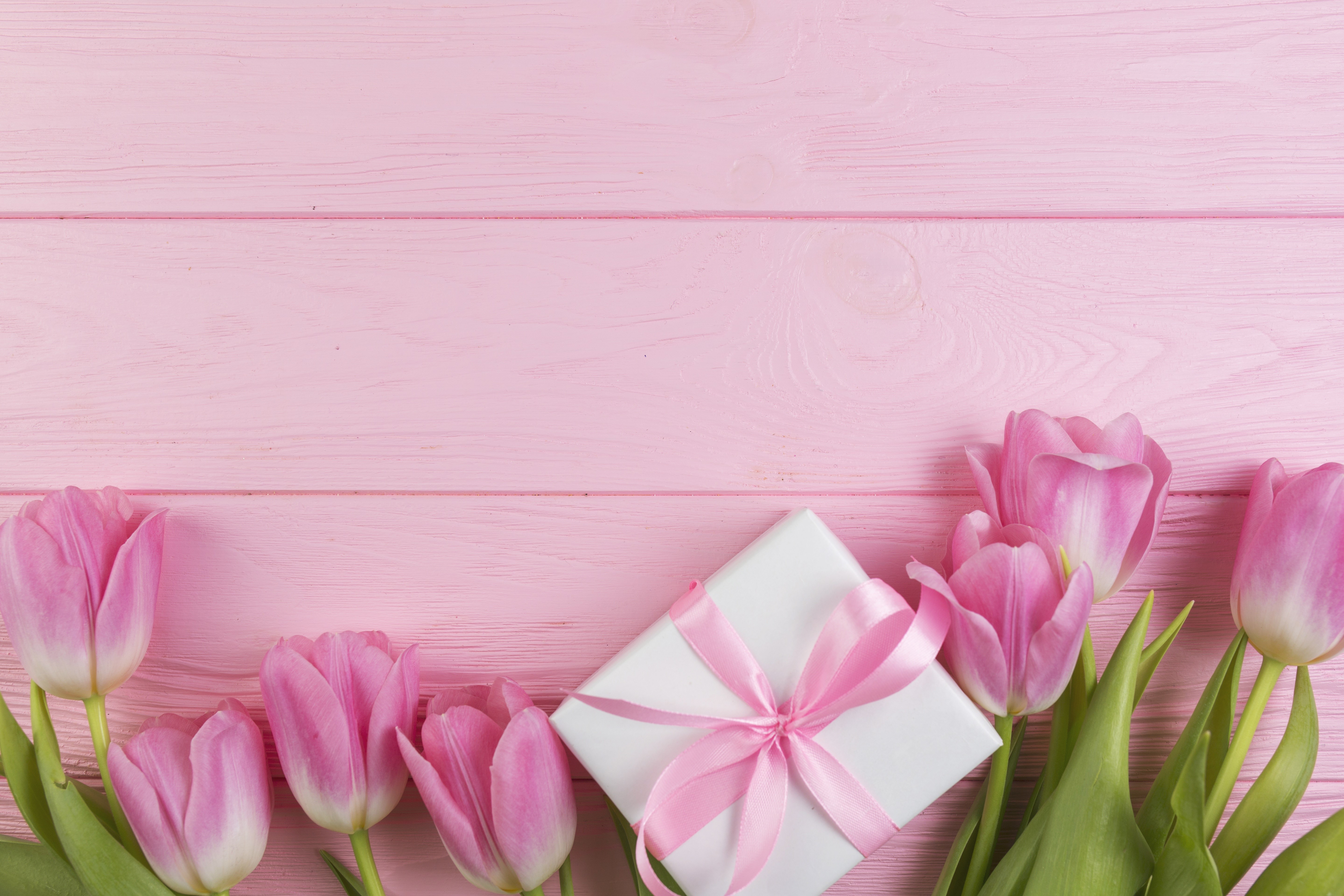 Pink Tulips and Gift Box on Pink Wooden Background HD Wallpaper
