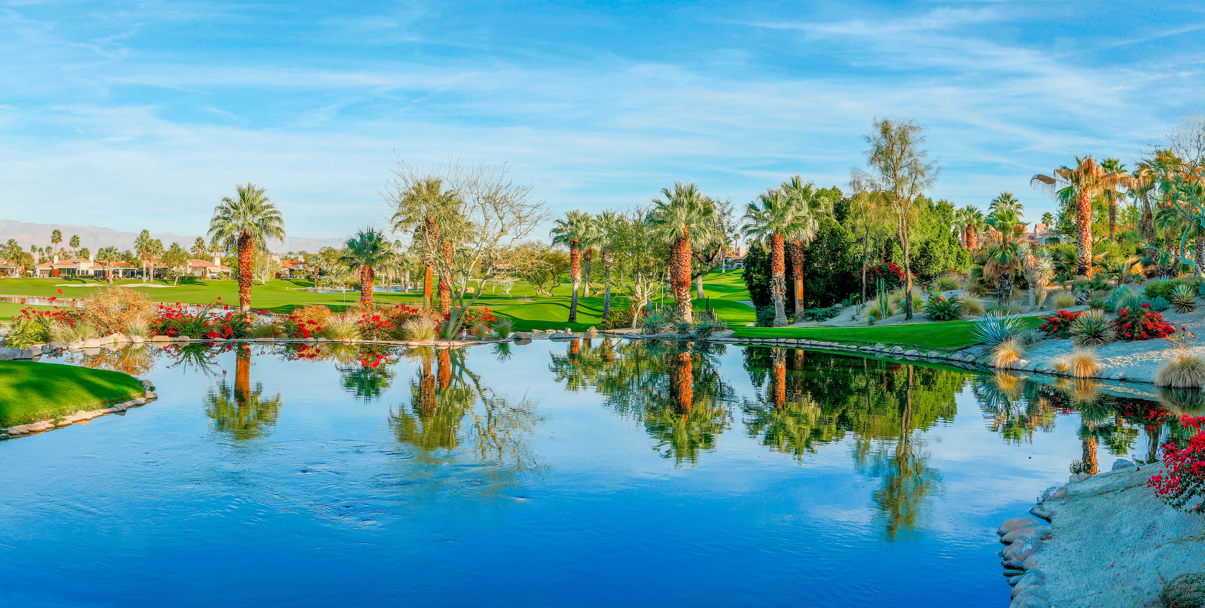 Palm Desert California Lake with Palm Trees HD Wallpaper