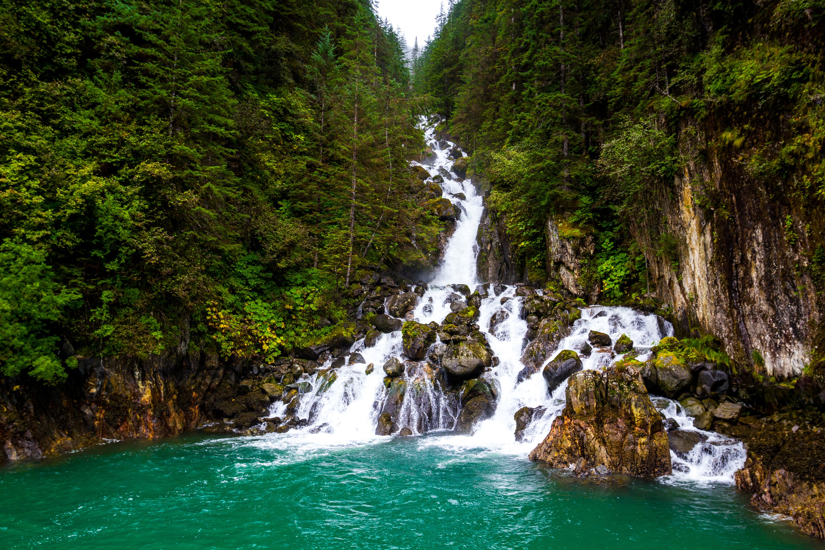 Waterfall cascading through a dense forest in Alaska HD Wallpaper