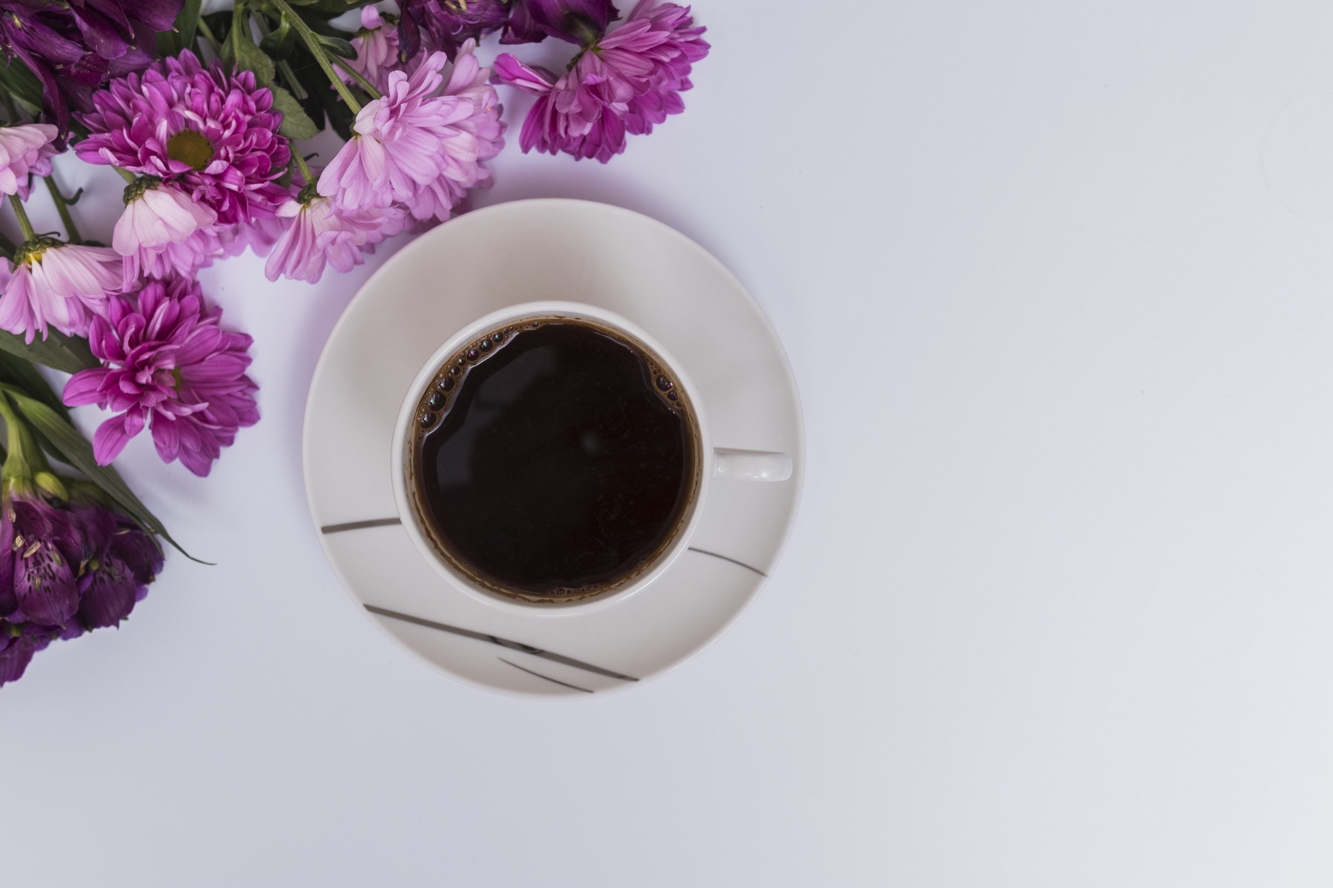 Coffee cup with purple chrysanthemums HD Wallpaper