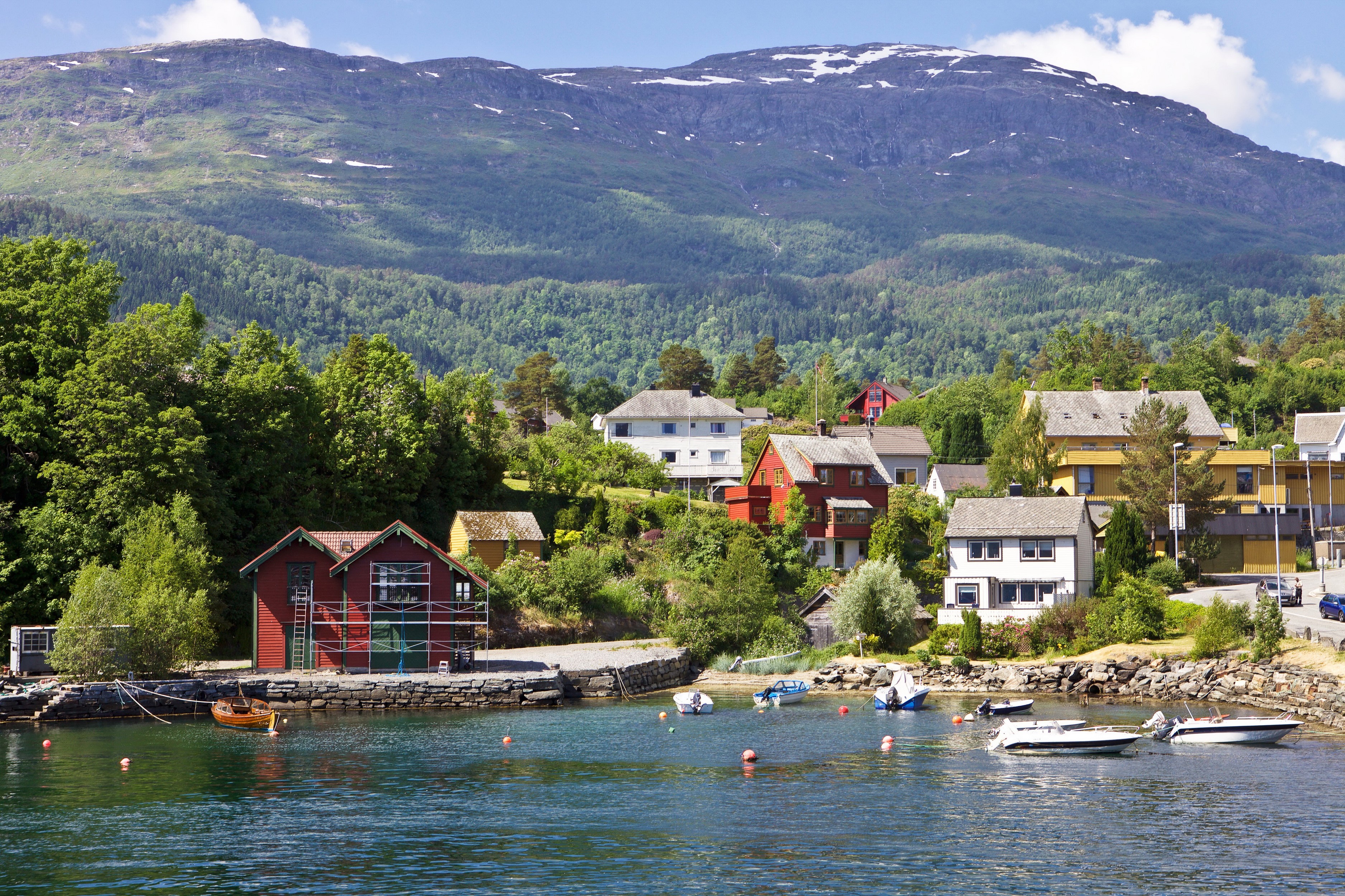Houses on a hill overlooking a bay in Balestrand, Norway HD Wallpaper