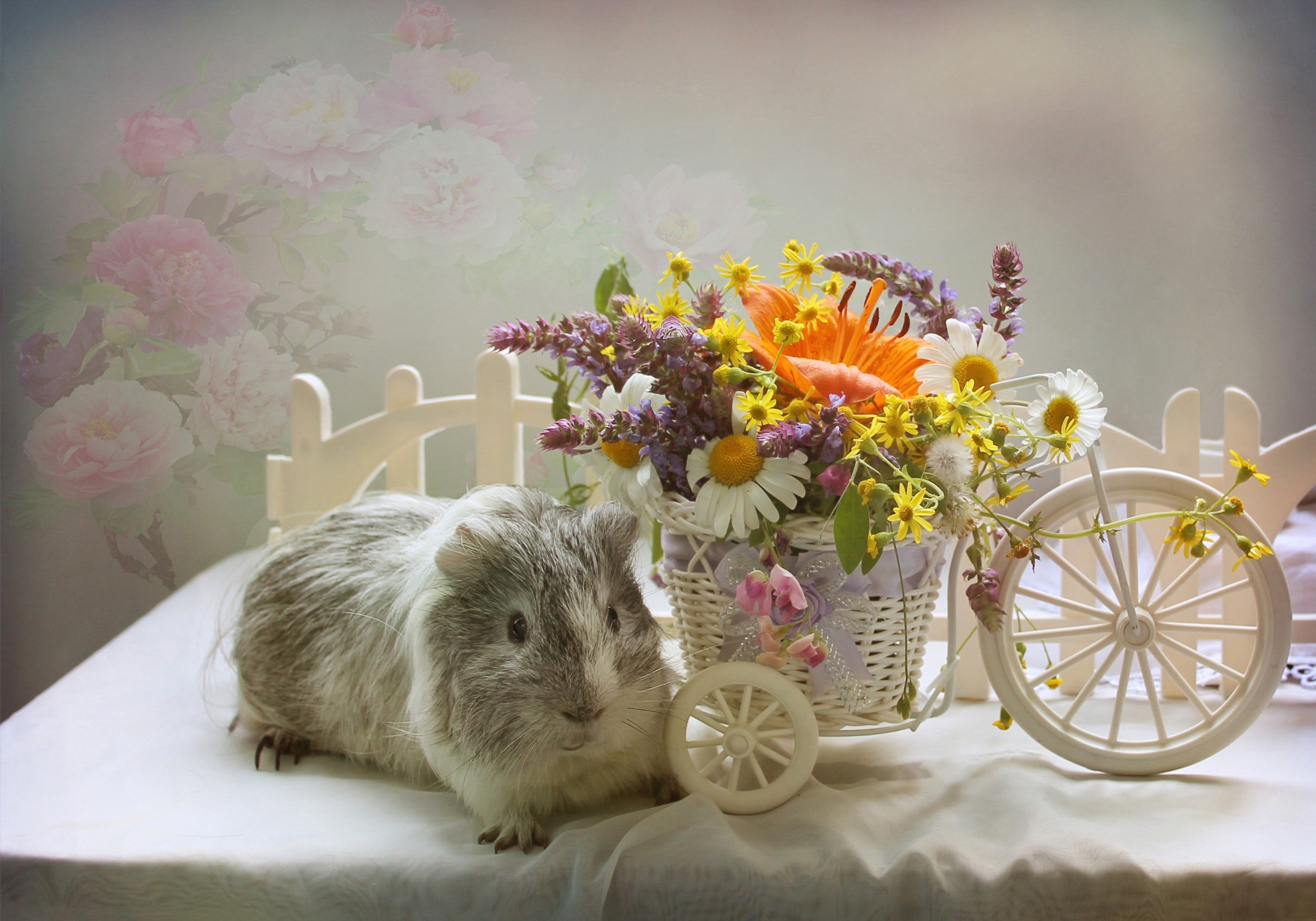 Guinea pig with a bouquet in a wicker basket HD Wallpaper