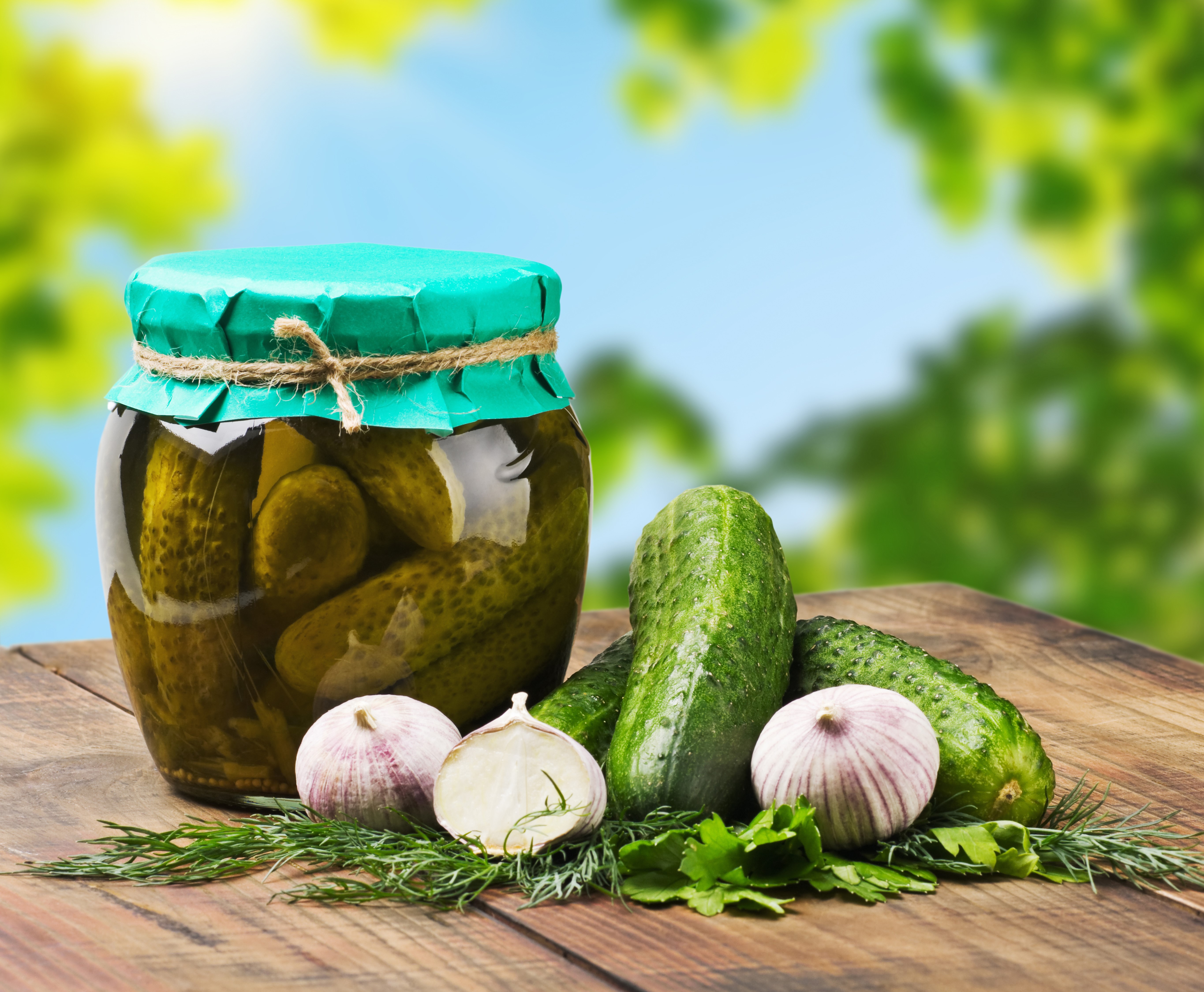 Jar of Pickles with Cucumbers, Garlic, and Dill HD Wallpaper