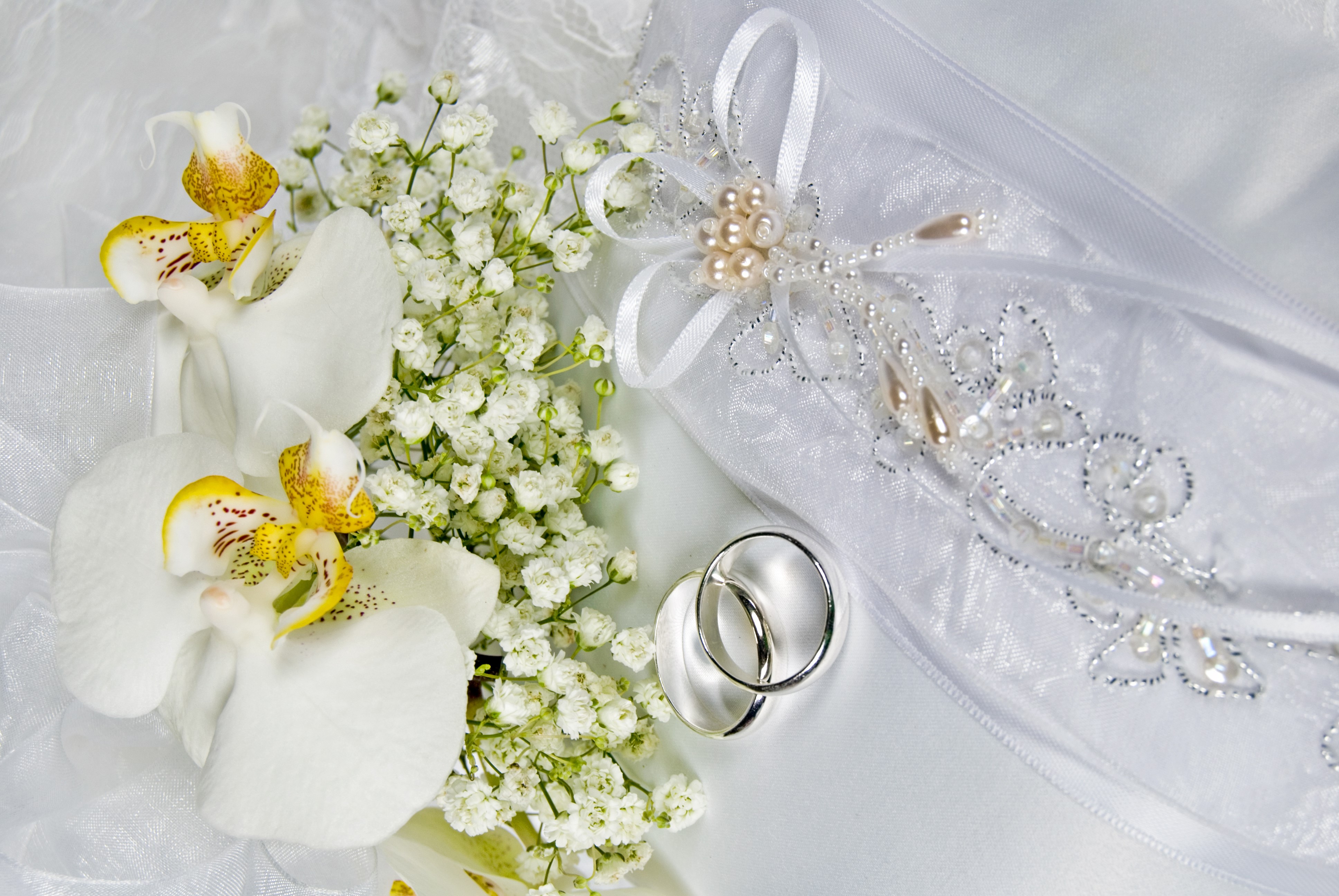 Wedding Rings with Orchids and Baby's Breath HD Wallpaper