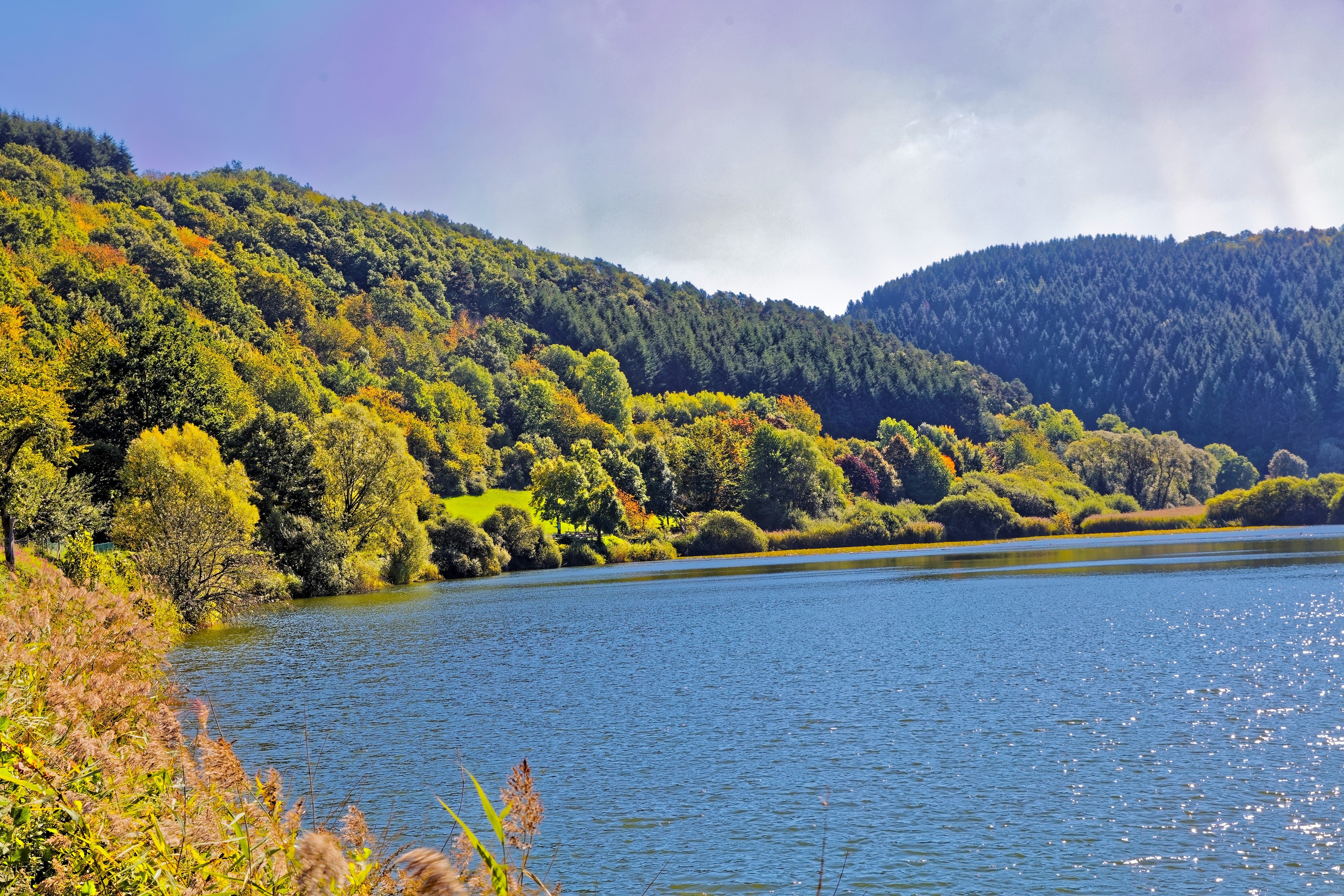 Meerfelder Lake with autumn forest in Germany HD Wallpaper