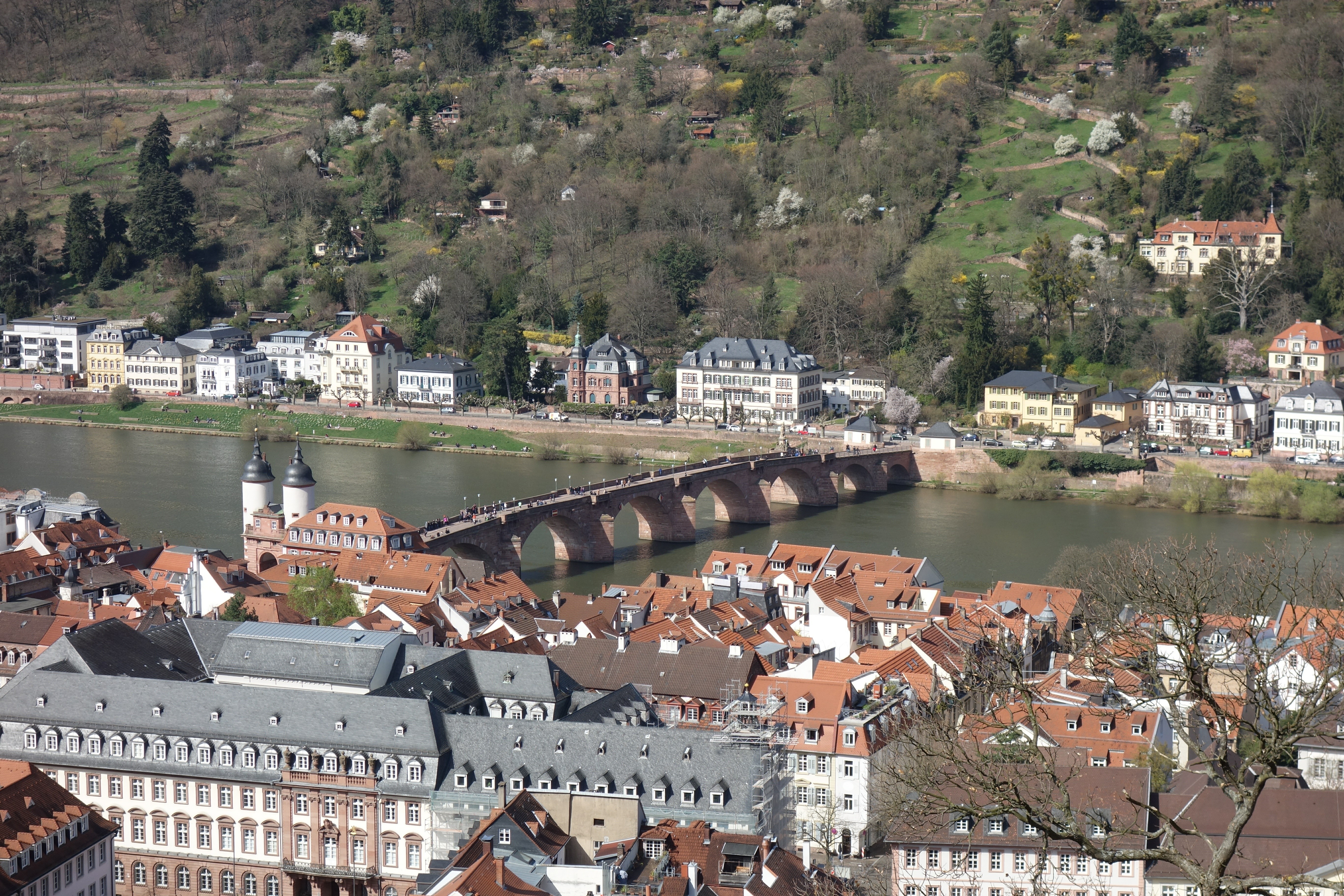 Heidelberg cityscape with bridge and river HD Wallpaper