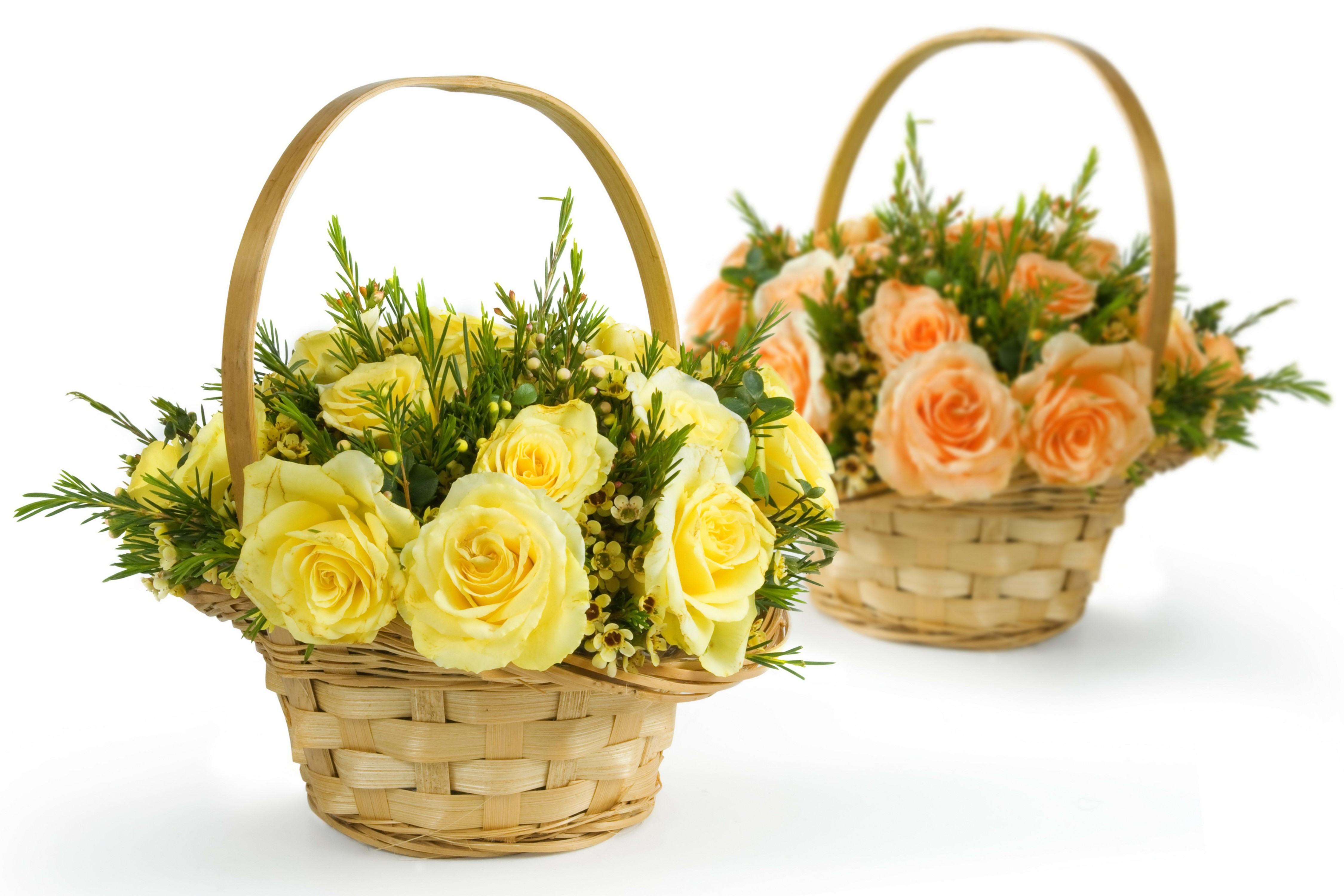 Two flower baskets with roses HD Wallpaper