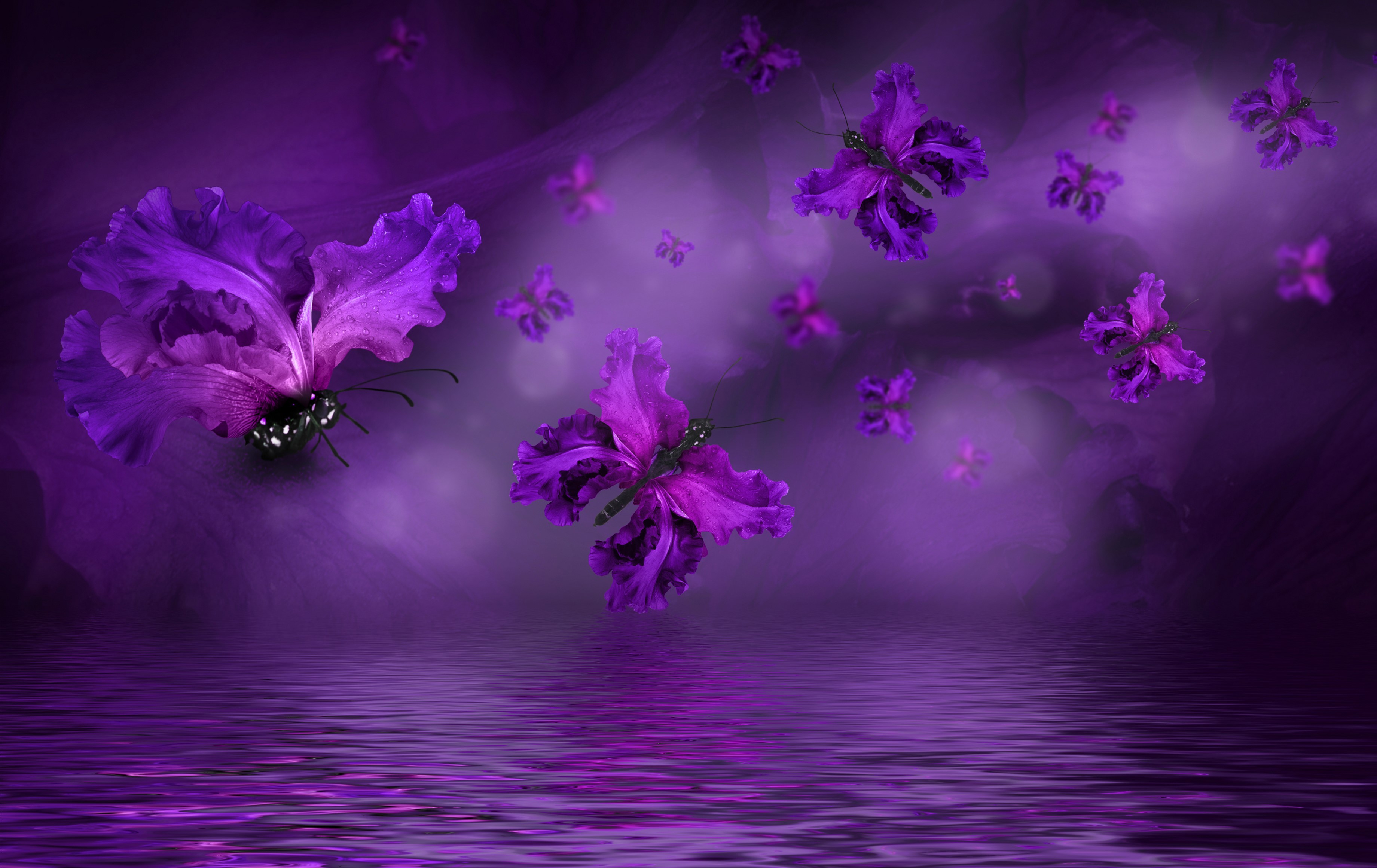 Purple irises transformed into butterflies over water HD Wallpaper