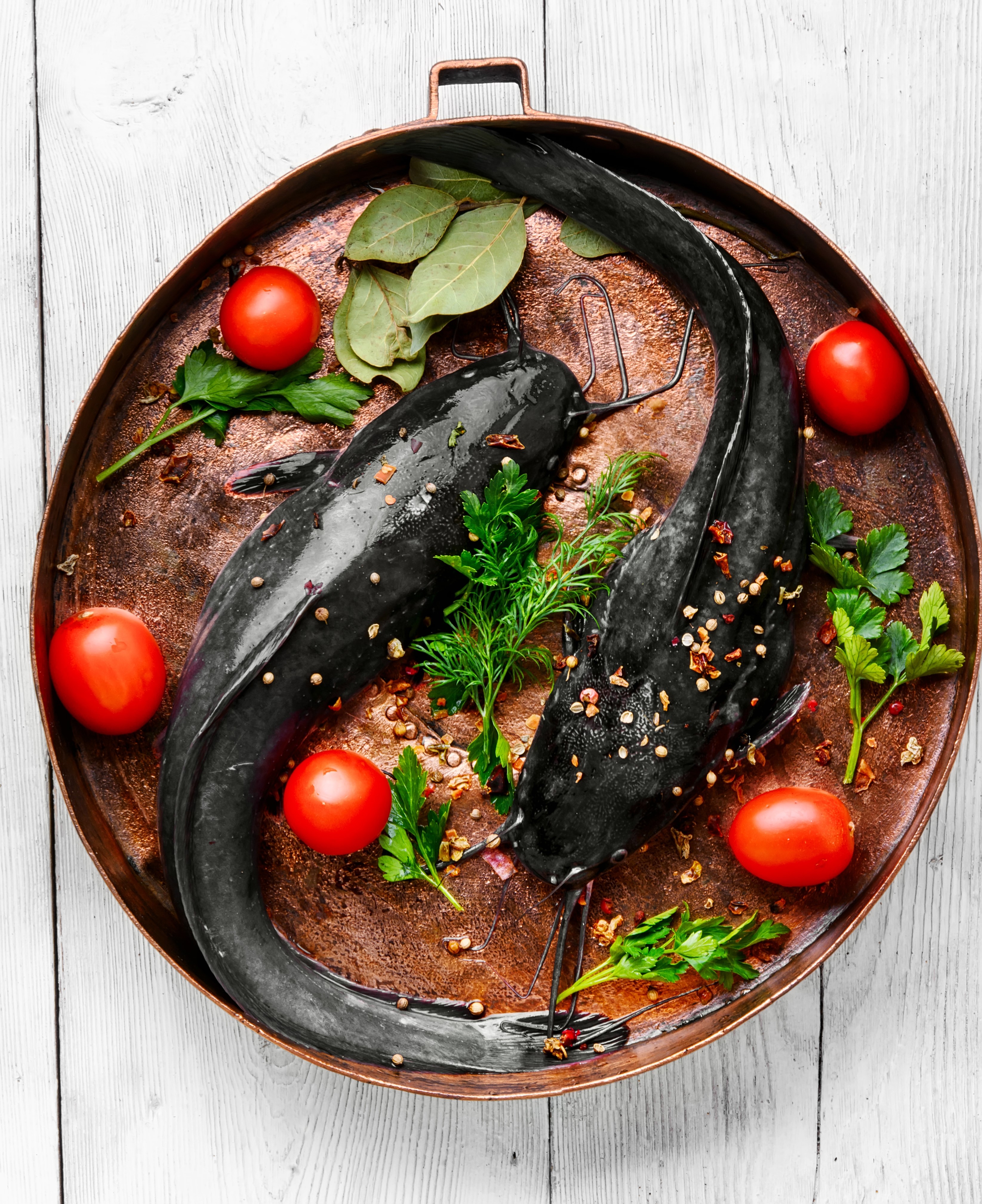 Two raw catfish with tomatoes and herbs on a tray HD Phone Wallpaper